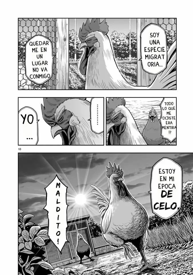 Niwatori Fighter Capítulo 1 - Page 10