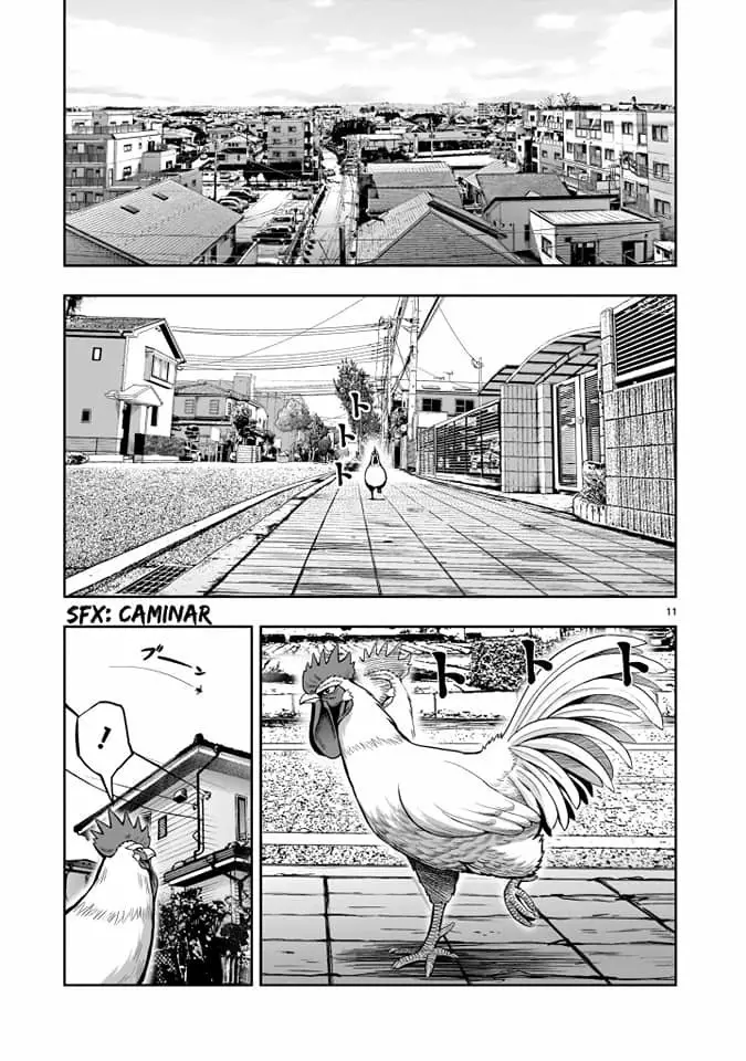Niwatori Fighter Capítulo 1 - Page 11