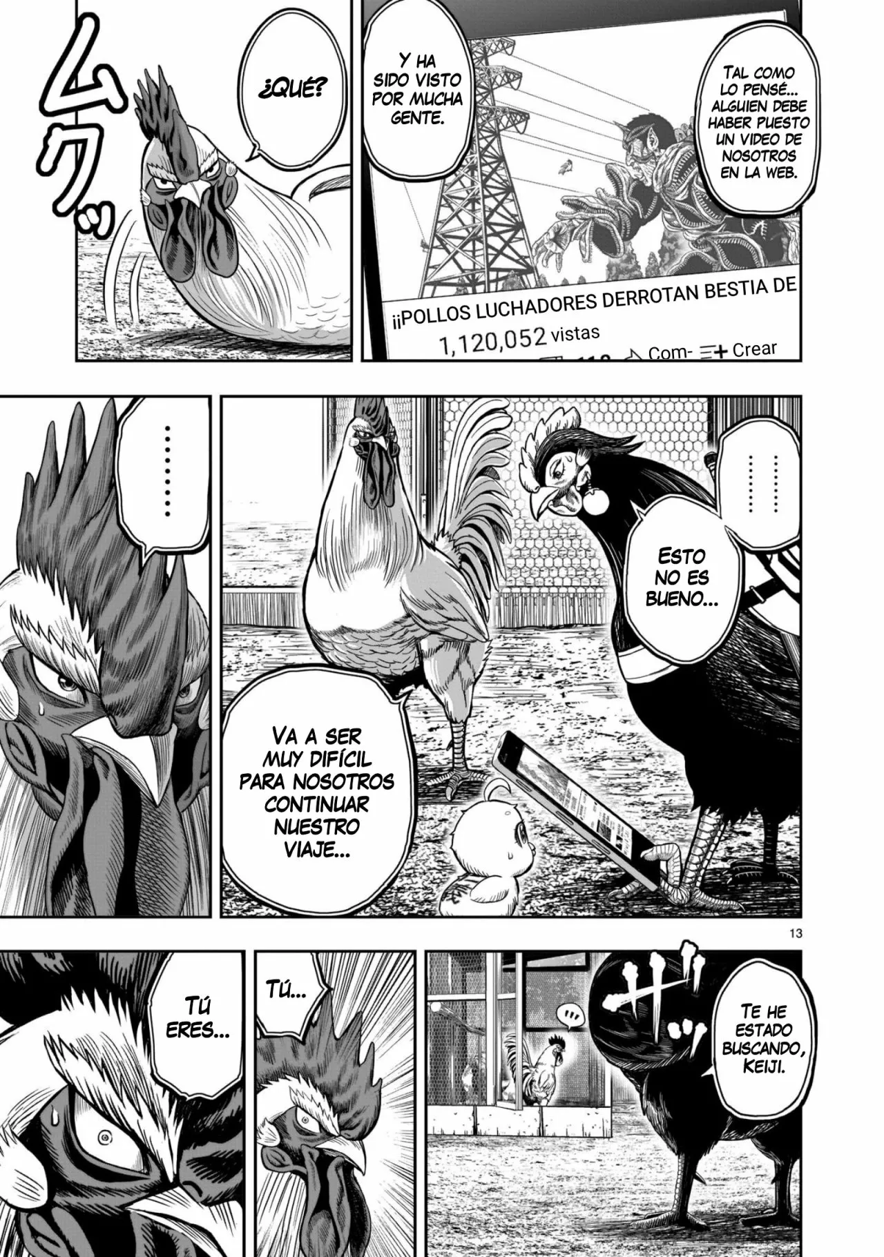 Niwatori Fighter Capítulo 11 - Page 14