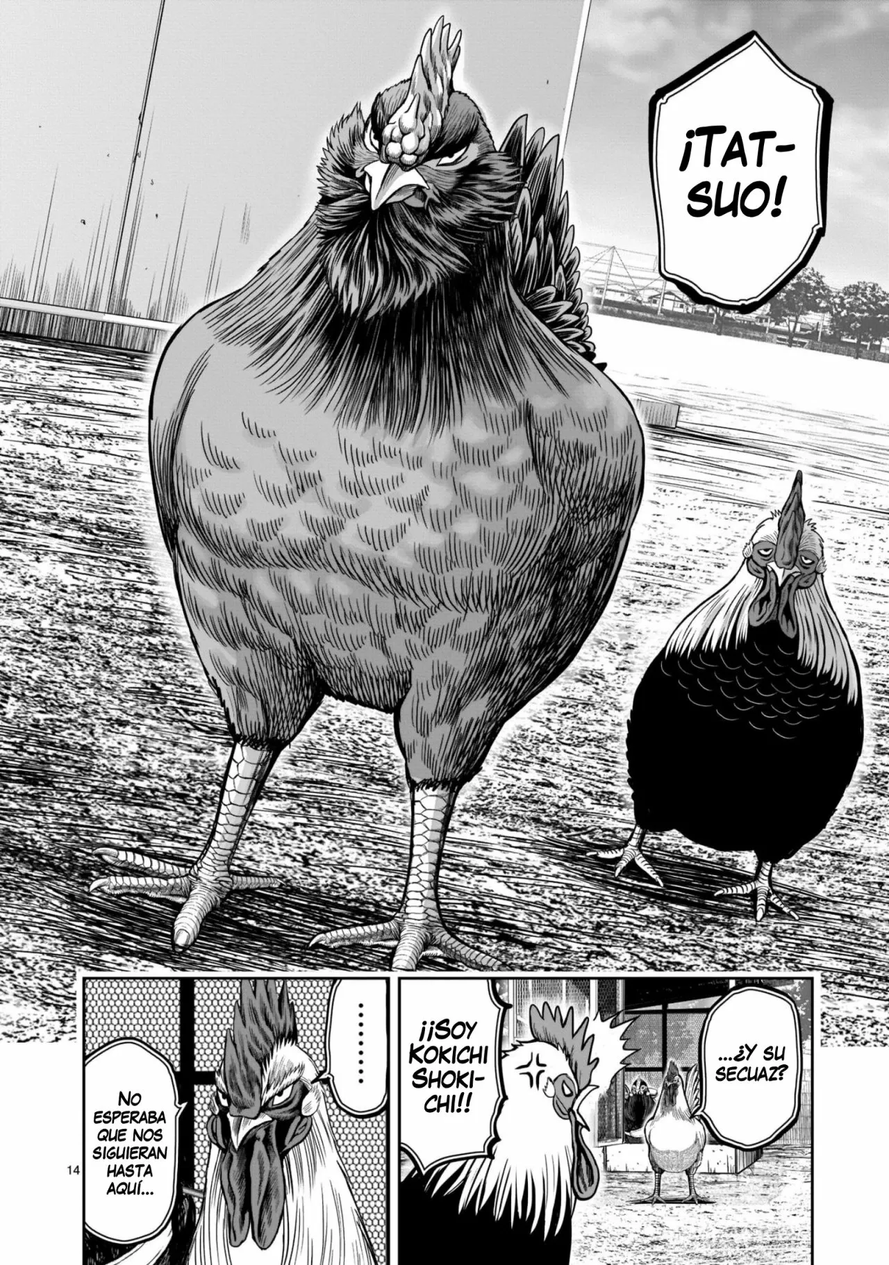 Niwatori Fighter Capítulo 11 - Page 15