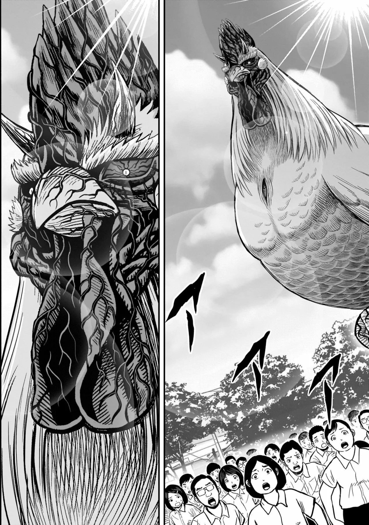 Niwatori Fighter Capítulo 11 - Page 29