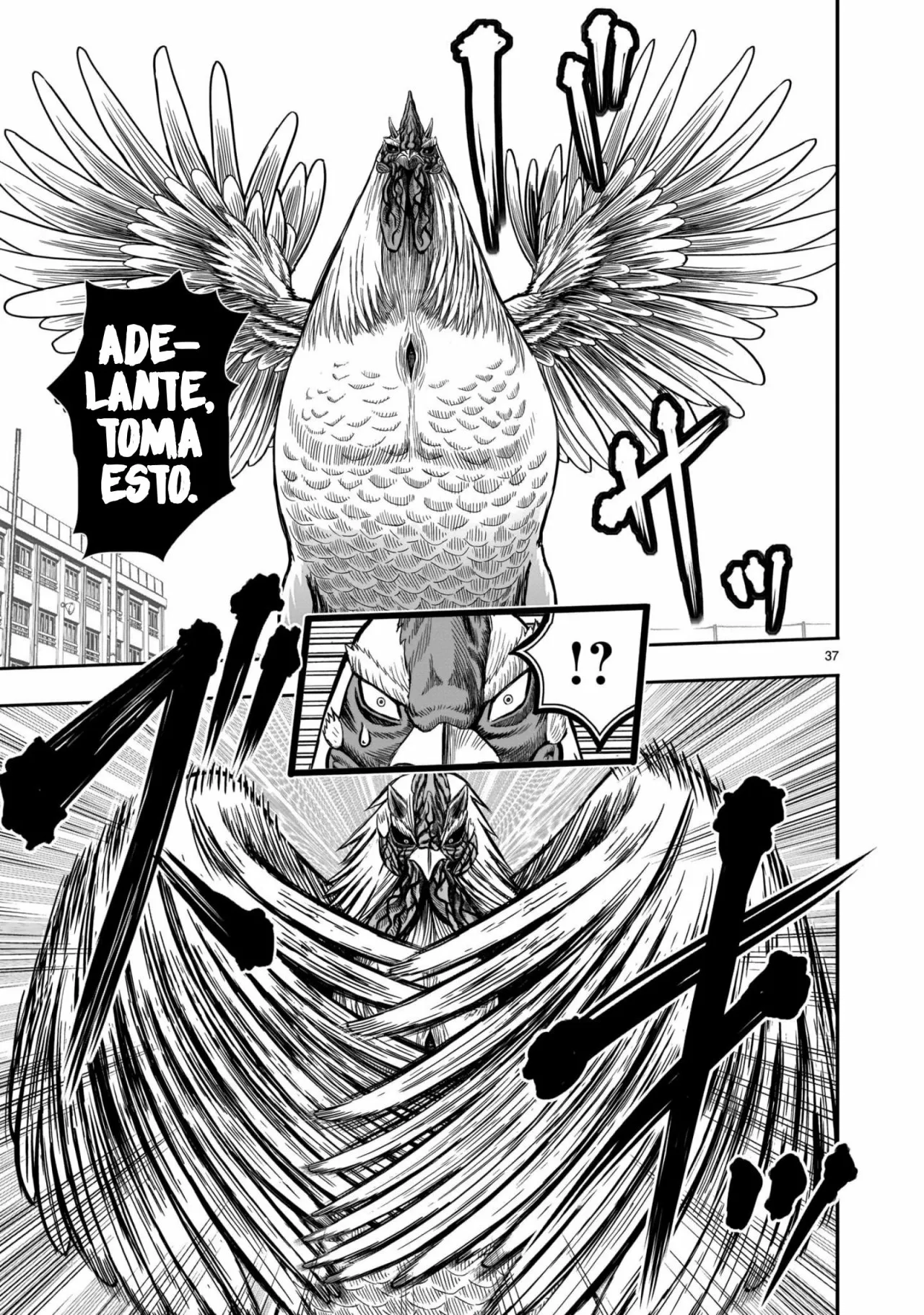 Niwatori Fighter Capítulo 11 - Page 39