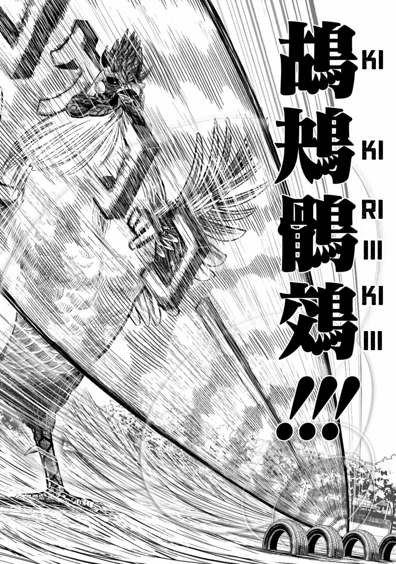 Niwatori Fighter Capítulo 11 - Page 46