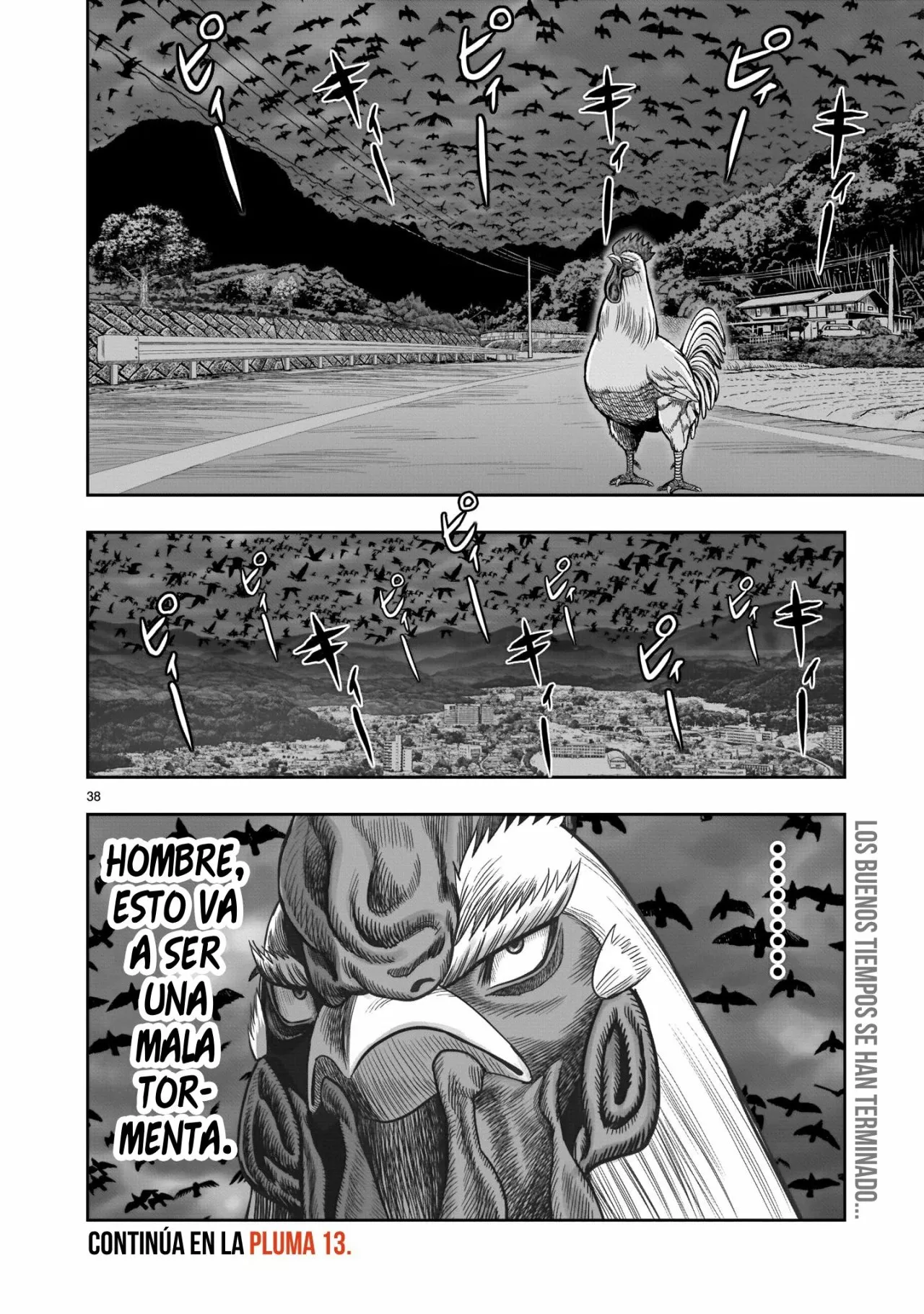 Niwatori Fighter Capítulo 12 - Page 39