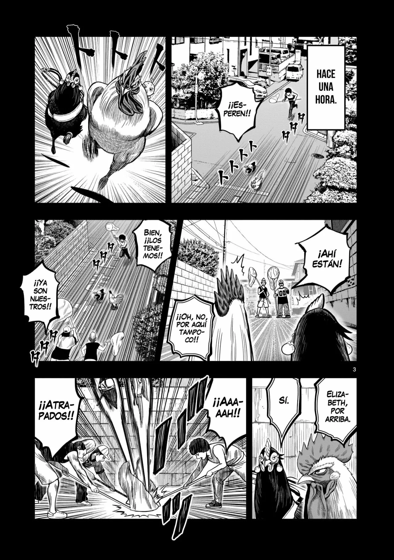Niwatori Fighter Capítulo 12 - Page 5