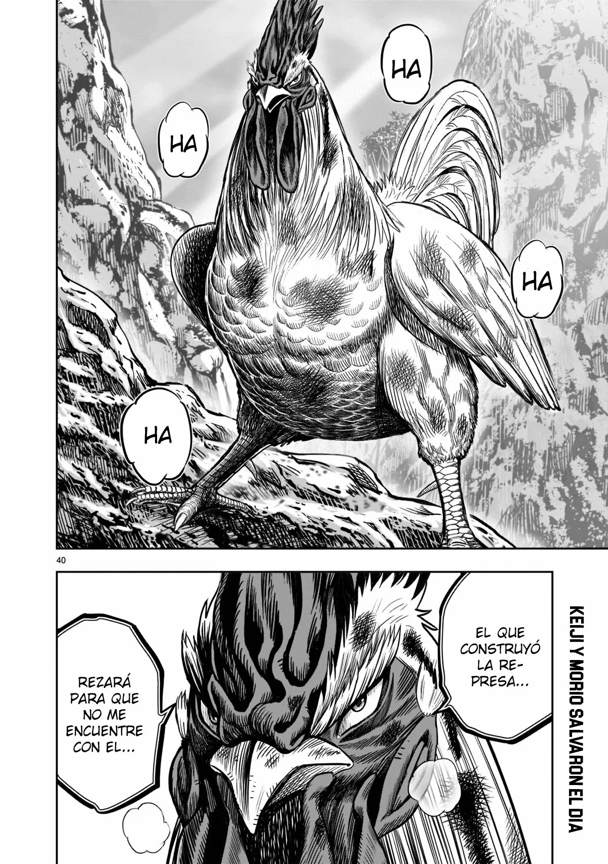 Niwatori Fighter Capítulo 15 - Page 40