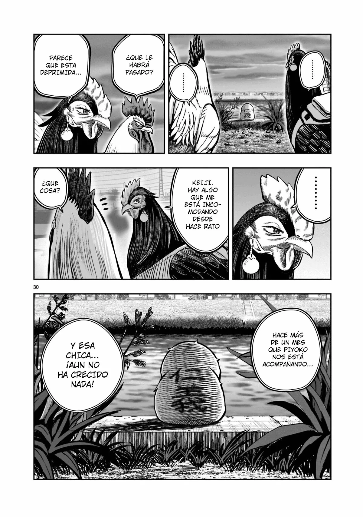 Niwatori Fighter Capítulo 18 - Page 31