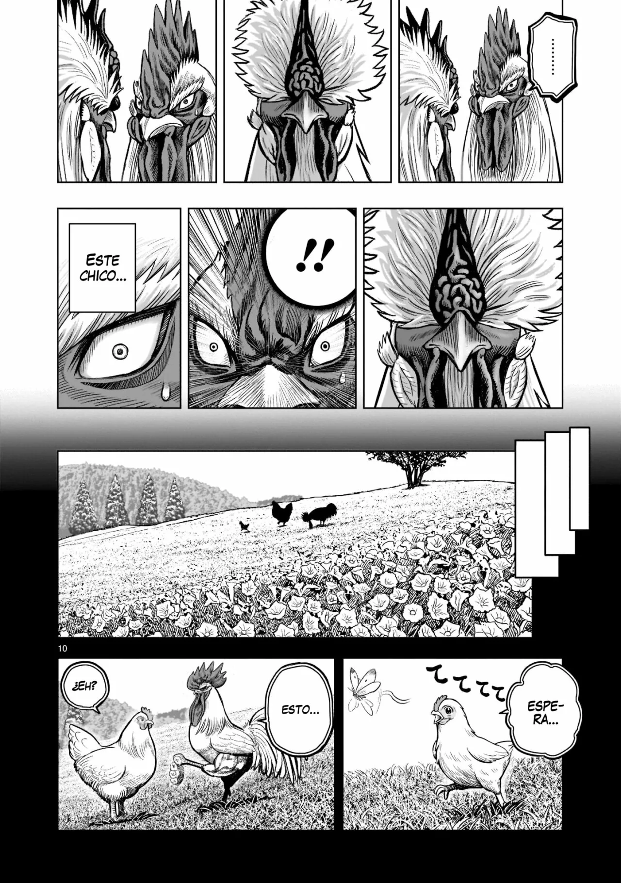 Niwatori Fighter Capítulo 19 - Page 11