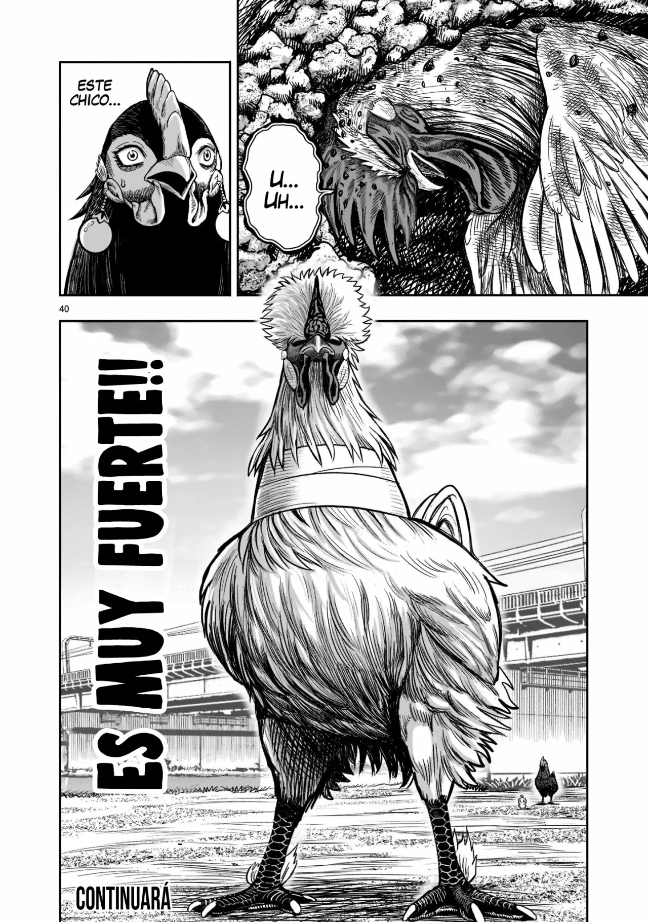 Niwatori Fighter Capítulo 19 - Page 41