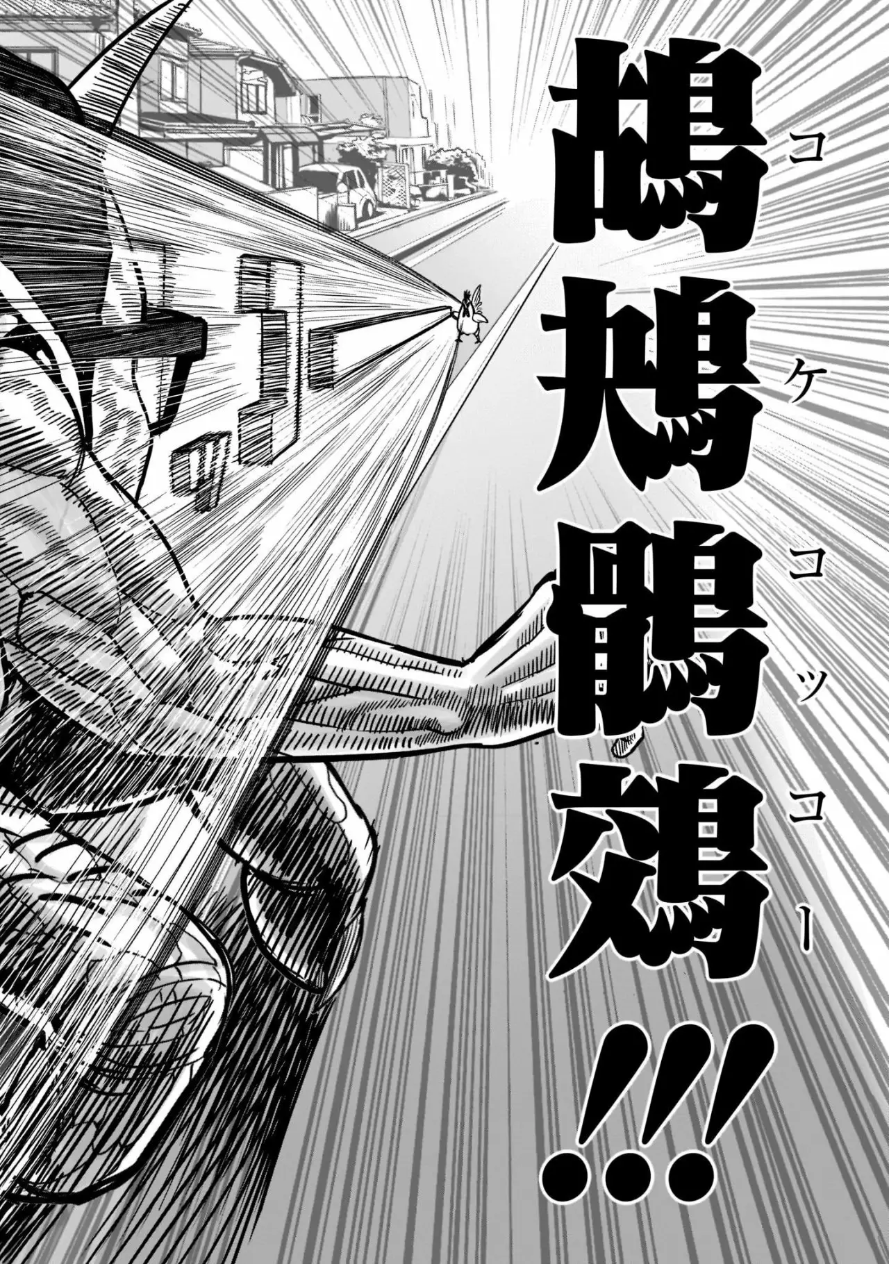 Niwatori Fighter Capítulo 2 - Page 13