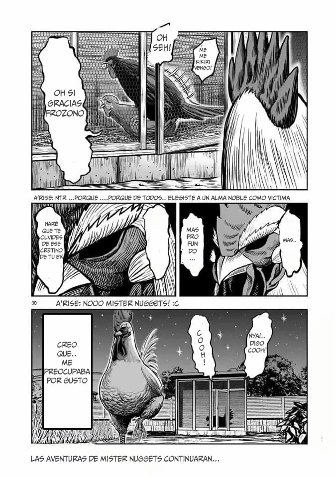 Niwatori Fighter Capítulo 2 - Page 31