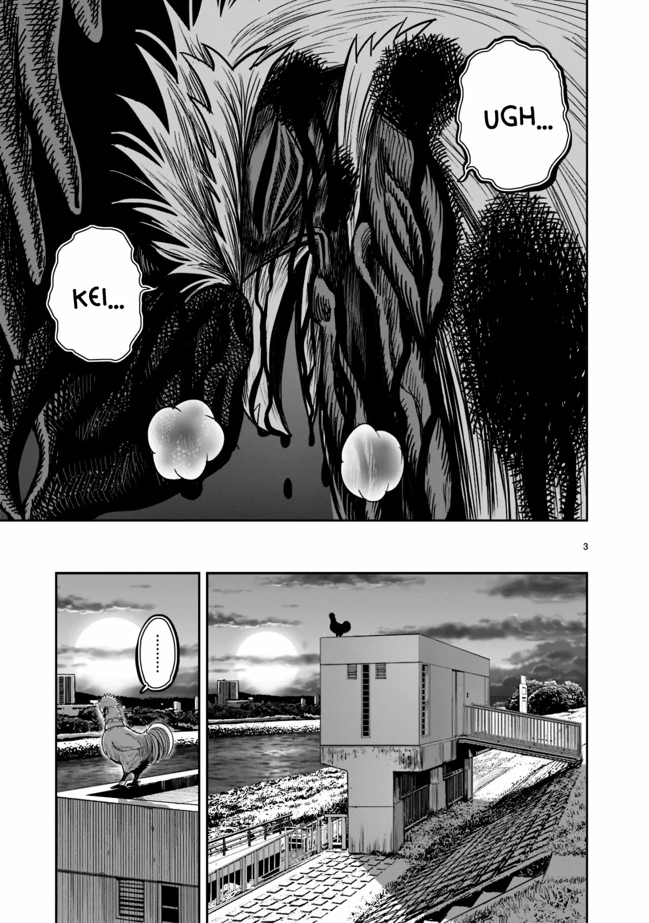 Niwatori Fighter Capítulo 20 - Page 5