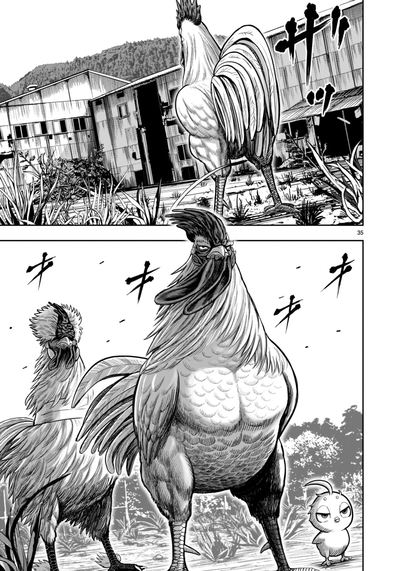 Niwatori Fighter Capítulo 21 - Page 36