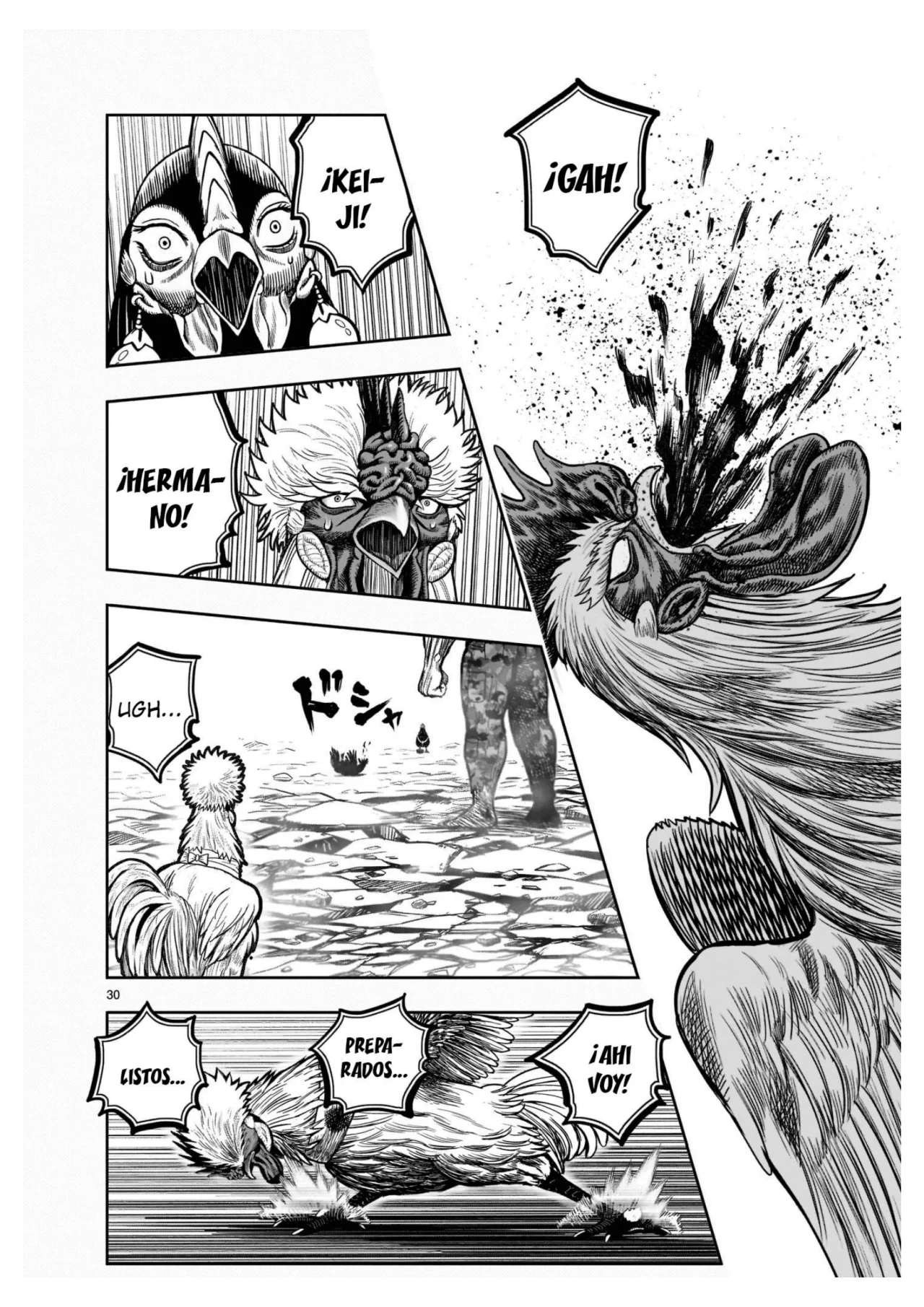 Niwatori Fighter Capítulo 24 - Page 33