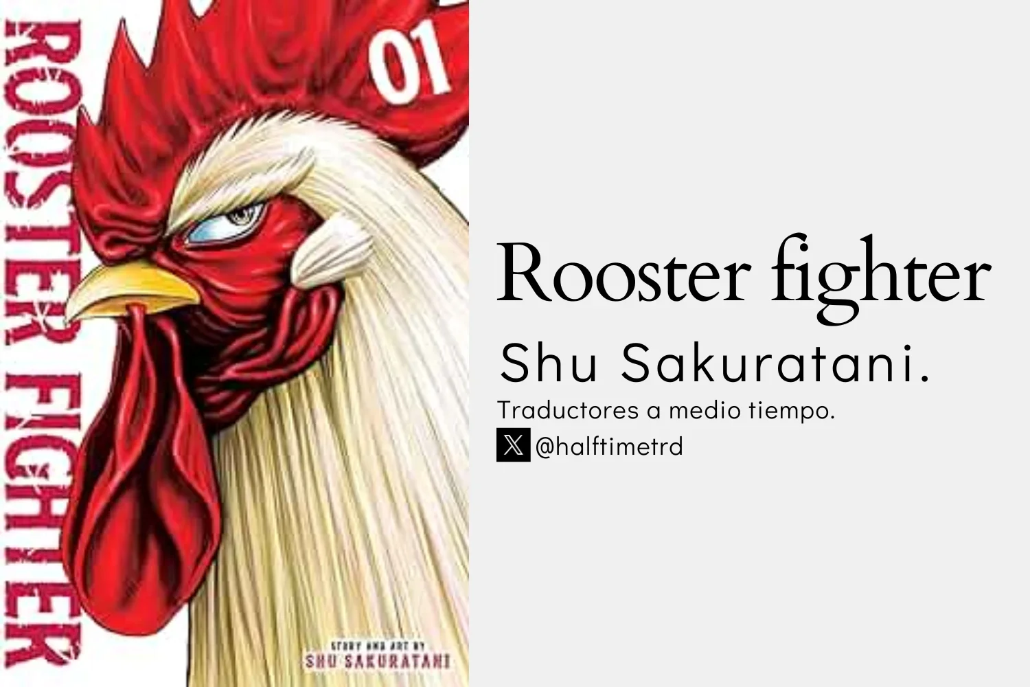 Niwatori Fighter Capítulo 25 - Page 2