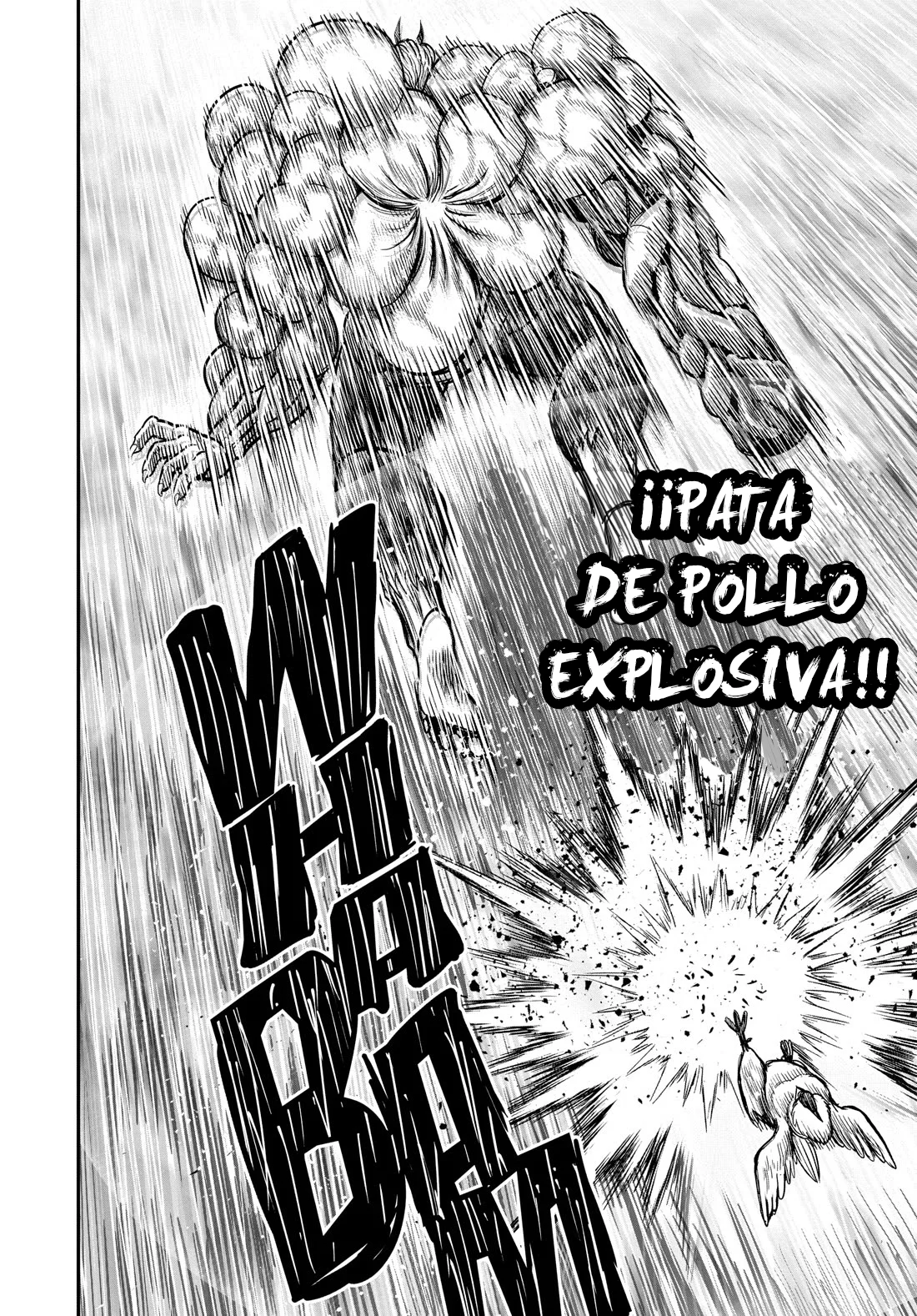 Niwatori Fighter Capítulo 25 - Page 28