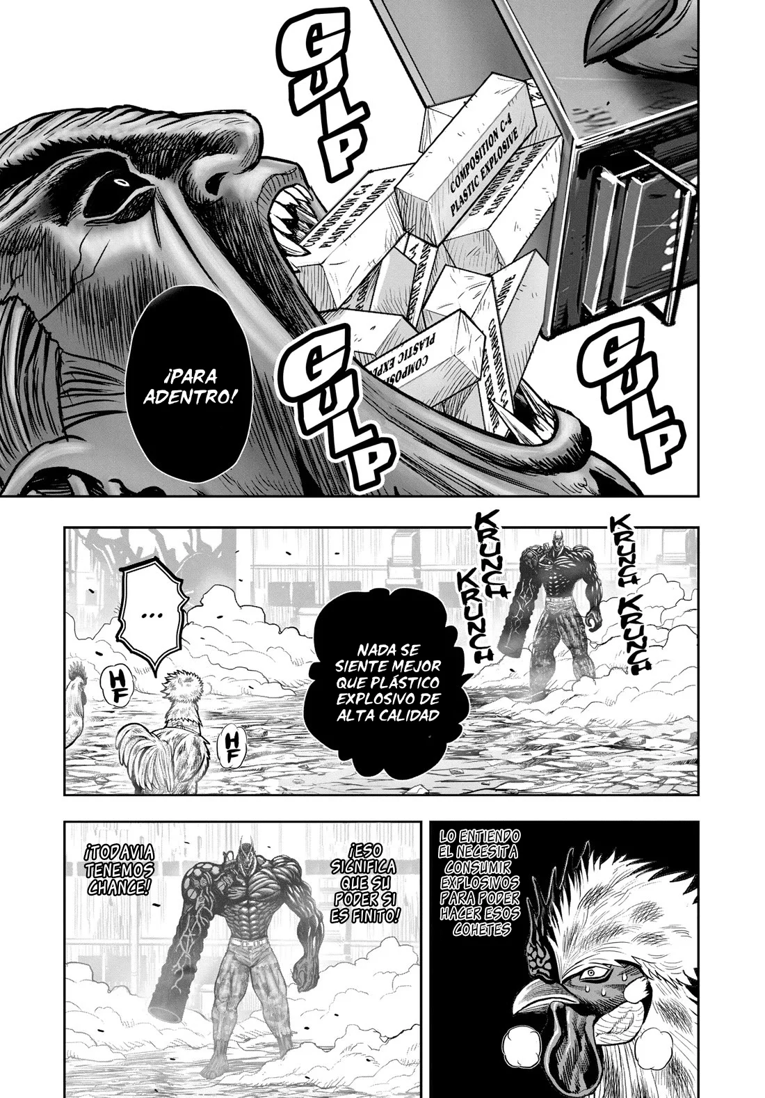 Niwatori Fighter Capítulo 25 - Page 33