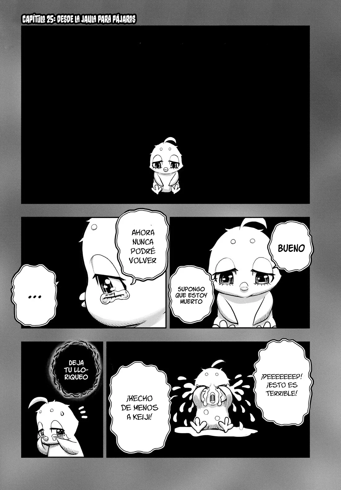 Niwatori Fighter Capítulo 25 - Page 5