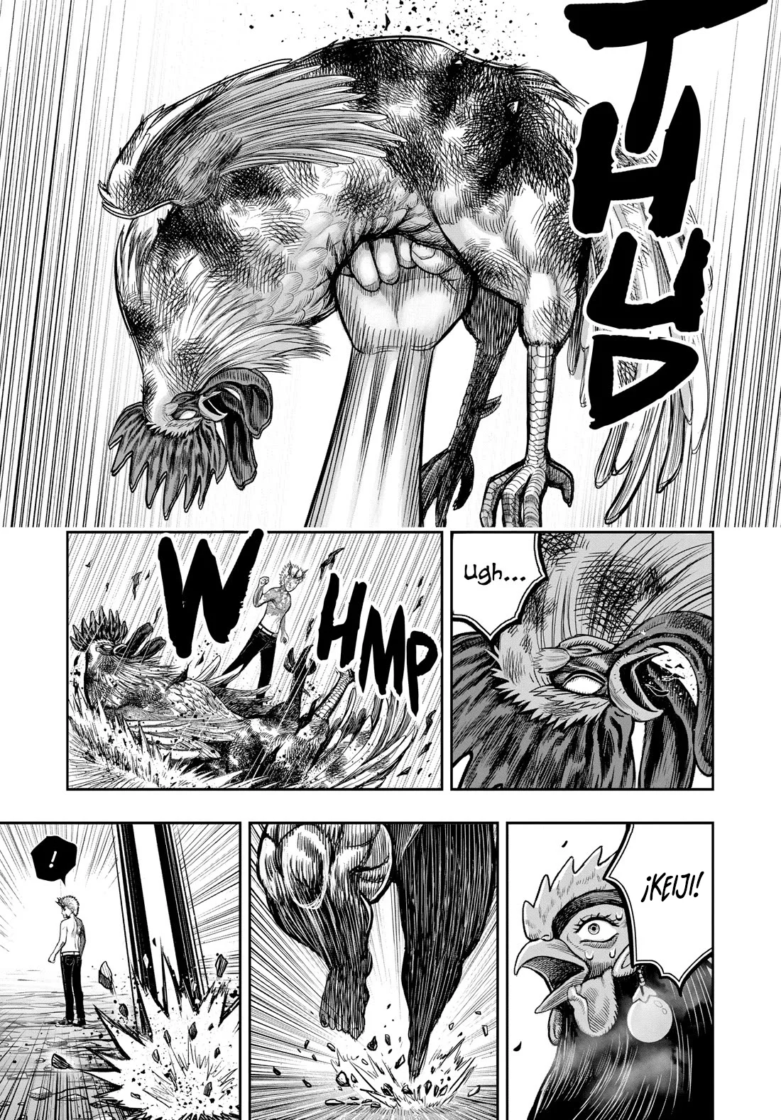 Niwatori Fighter Capítulo 27 - Page 25