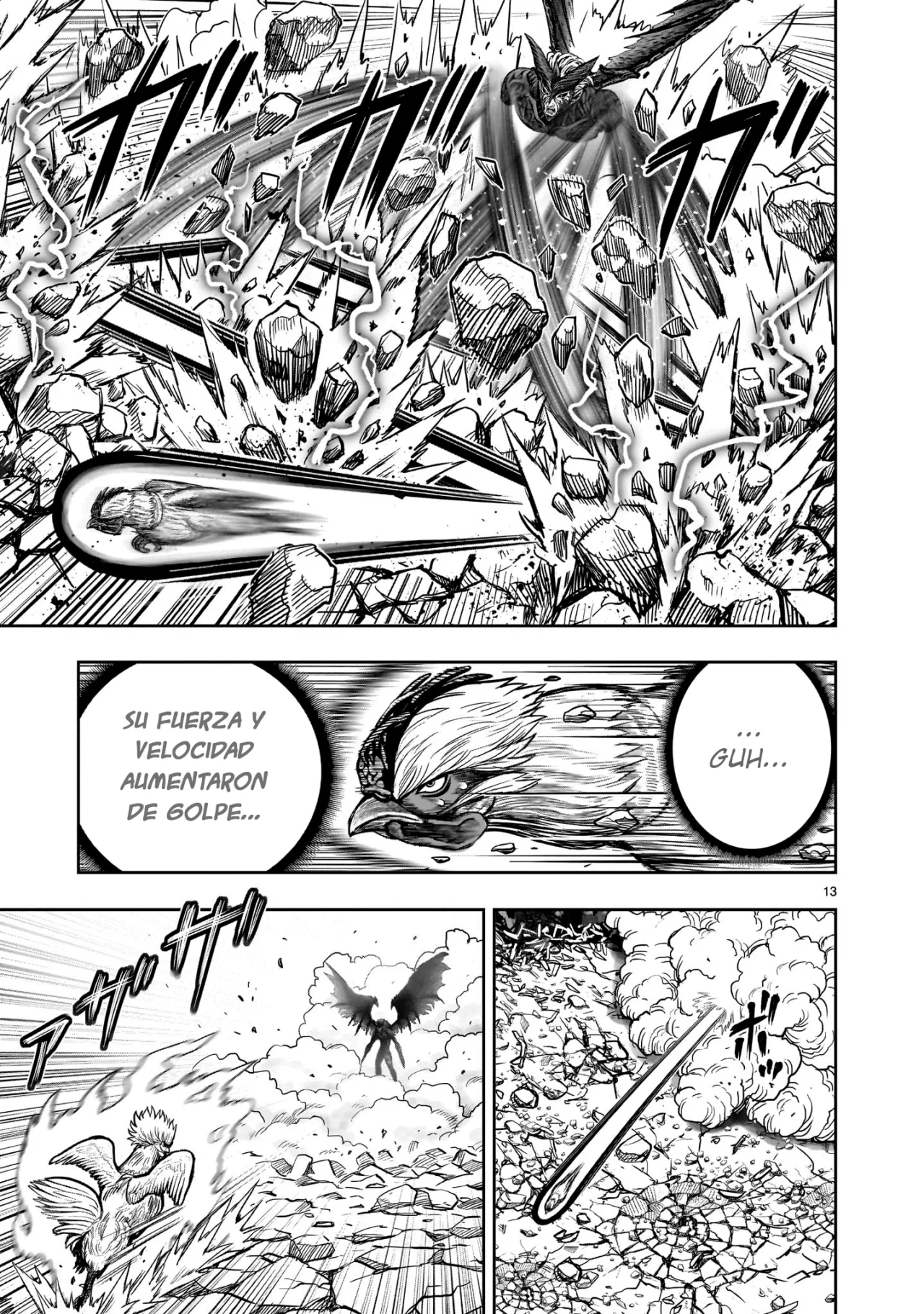 Niwatori Fighter Capítulo 29 - Page 17