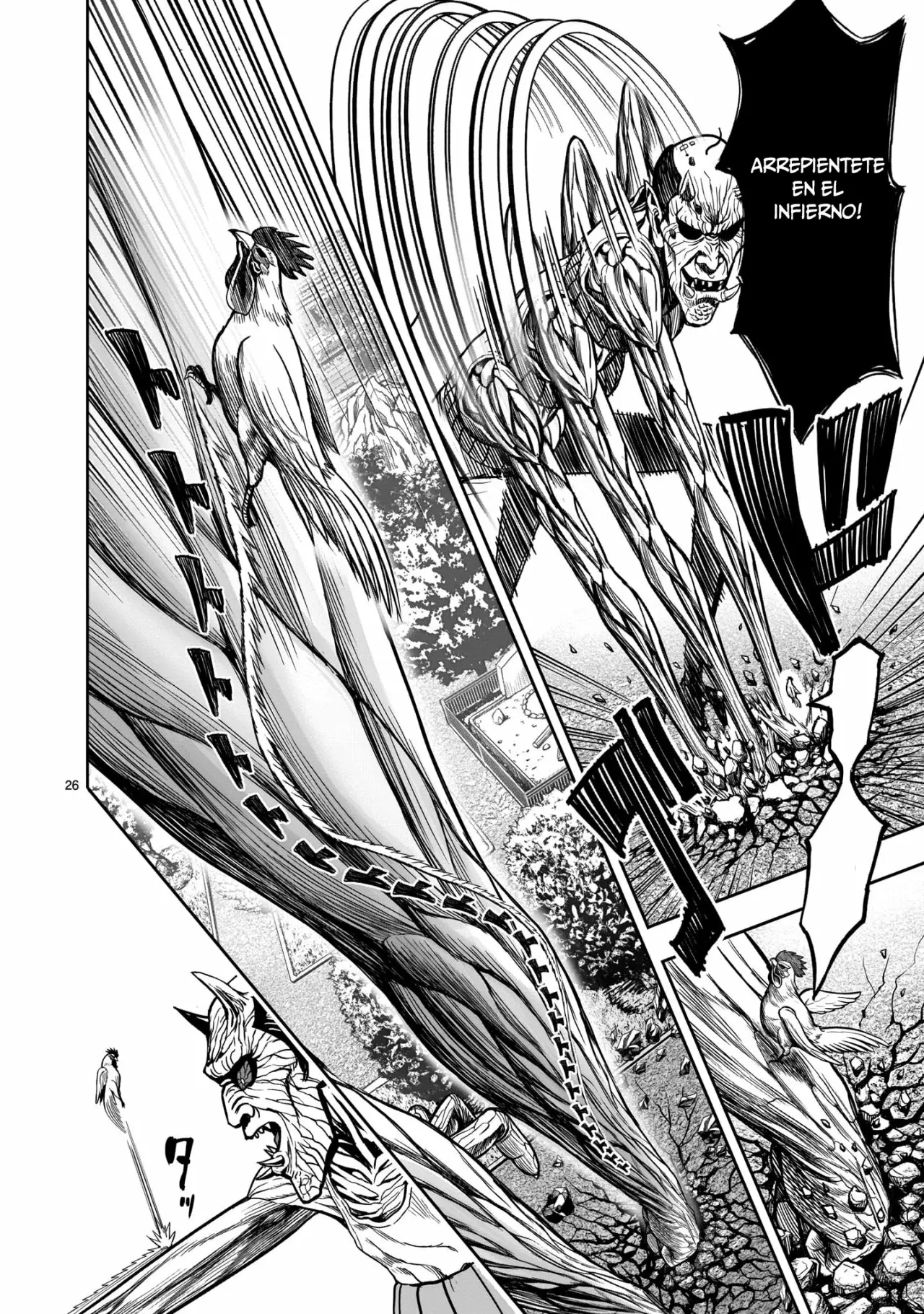 Niwatori Fighter Capítulo 3 - Page 24