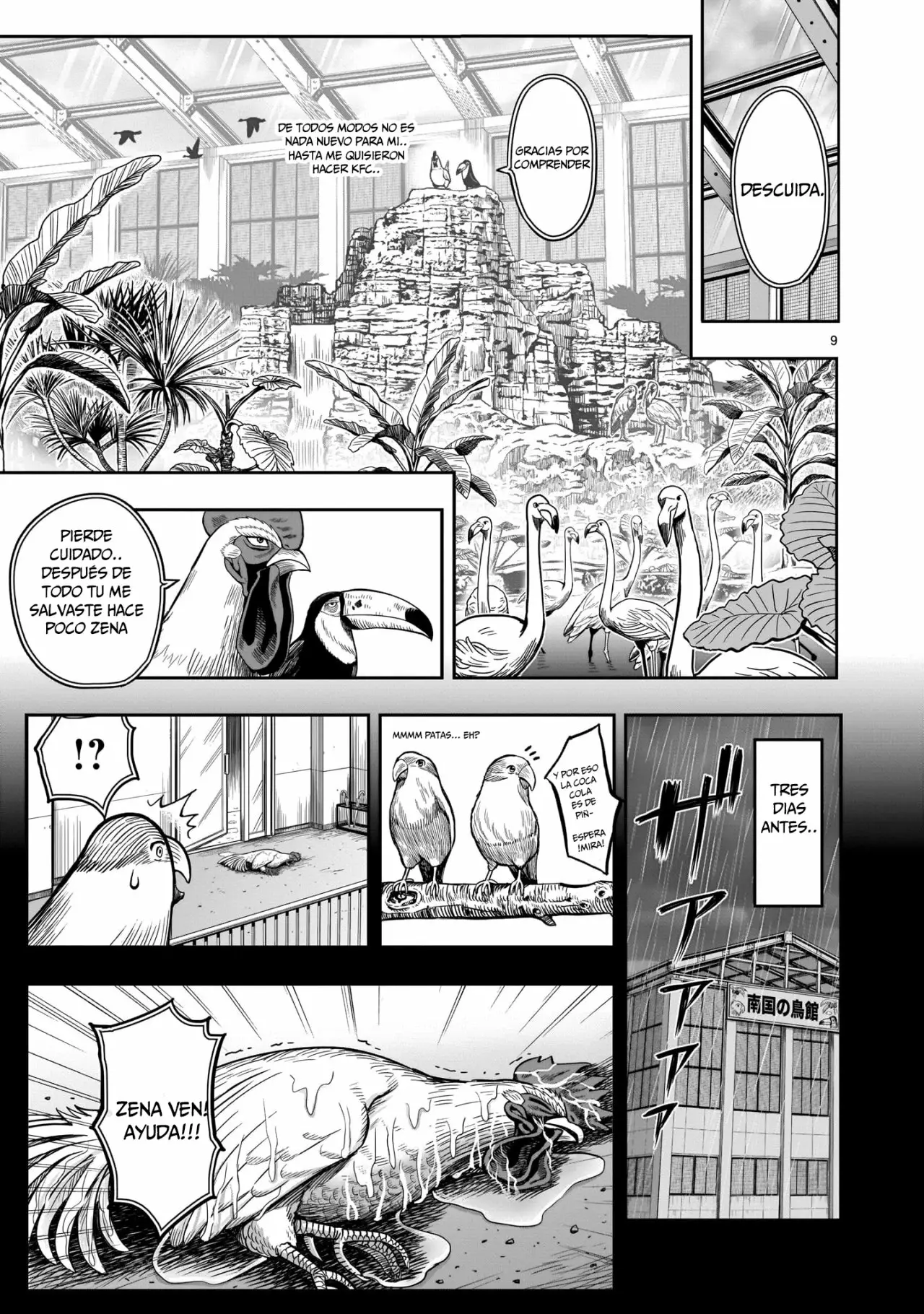 Niwatori Fighter Capítulo 3 - Page 8