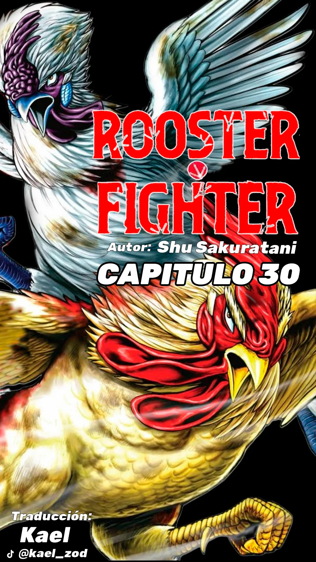 Niwatori Fighter Capítulo 30 - Page 2
