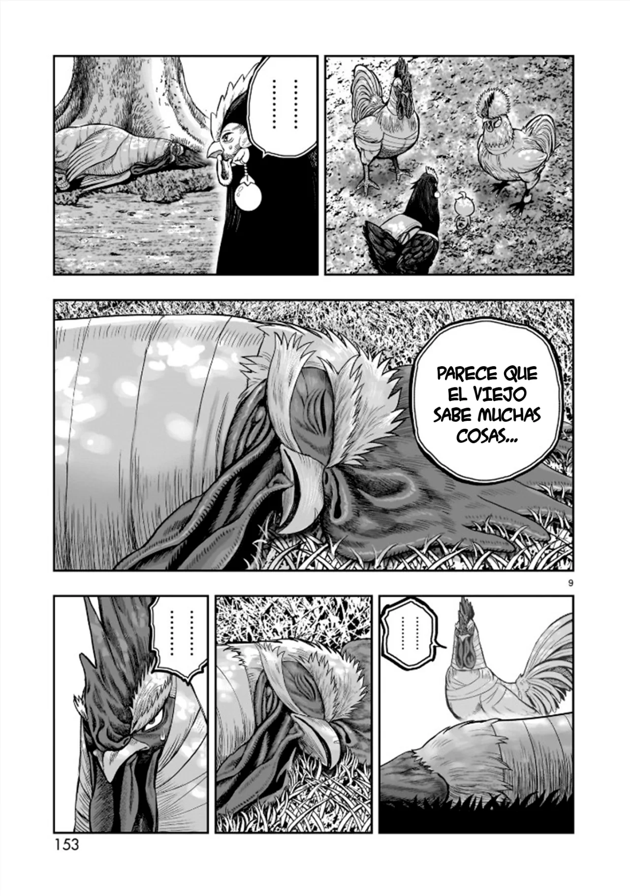 Niwatori Fighter Capítulo 31 - Page 13