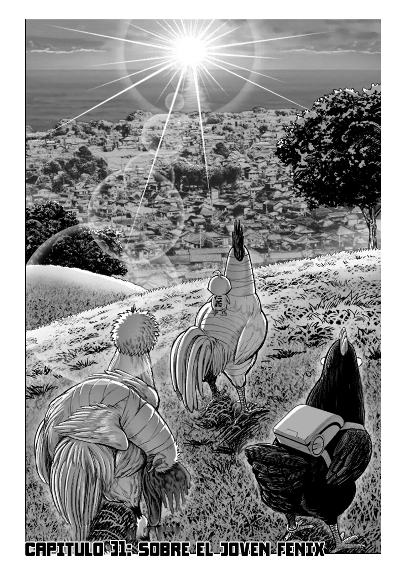 Niwatori Fighter Capítulo 31 - Page 5