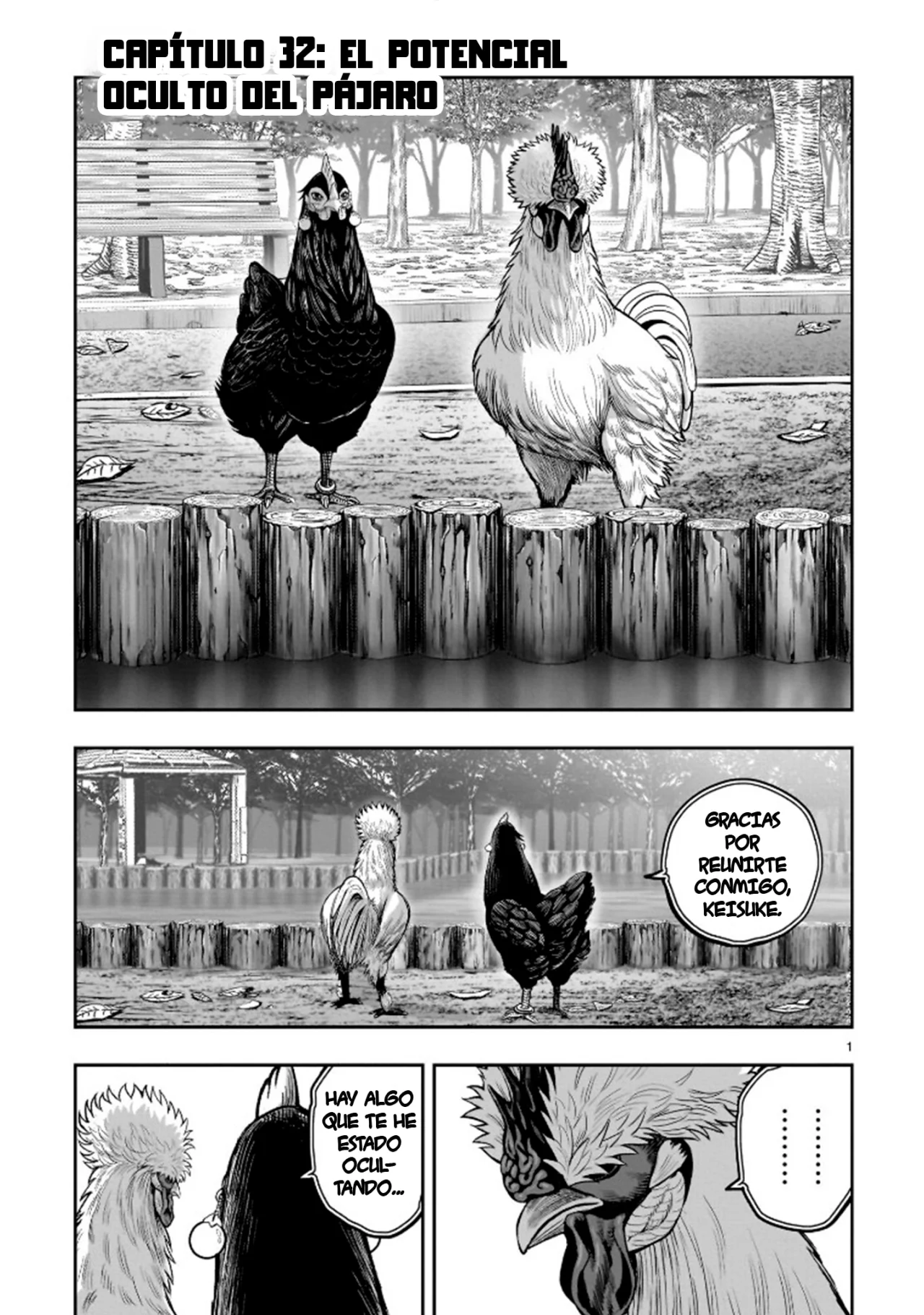 Niwatori Fighter Capítulo 32 - Page 5