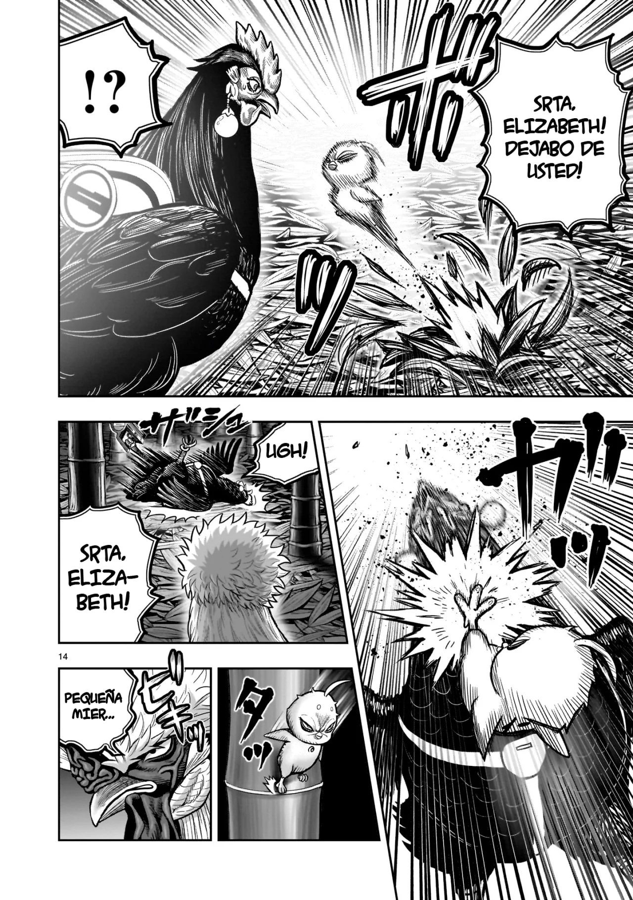 Niwatori Fighter Capítulo 33 - Page 17