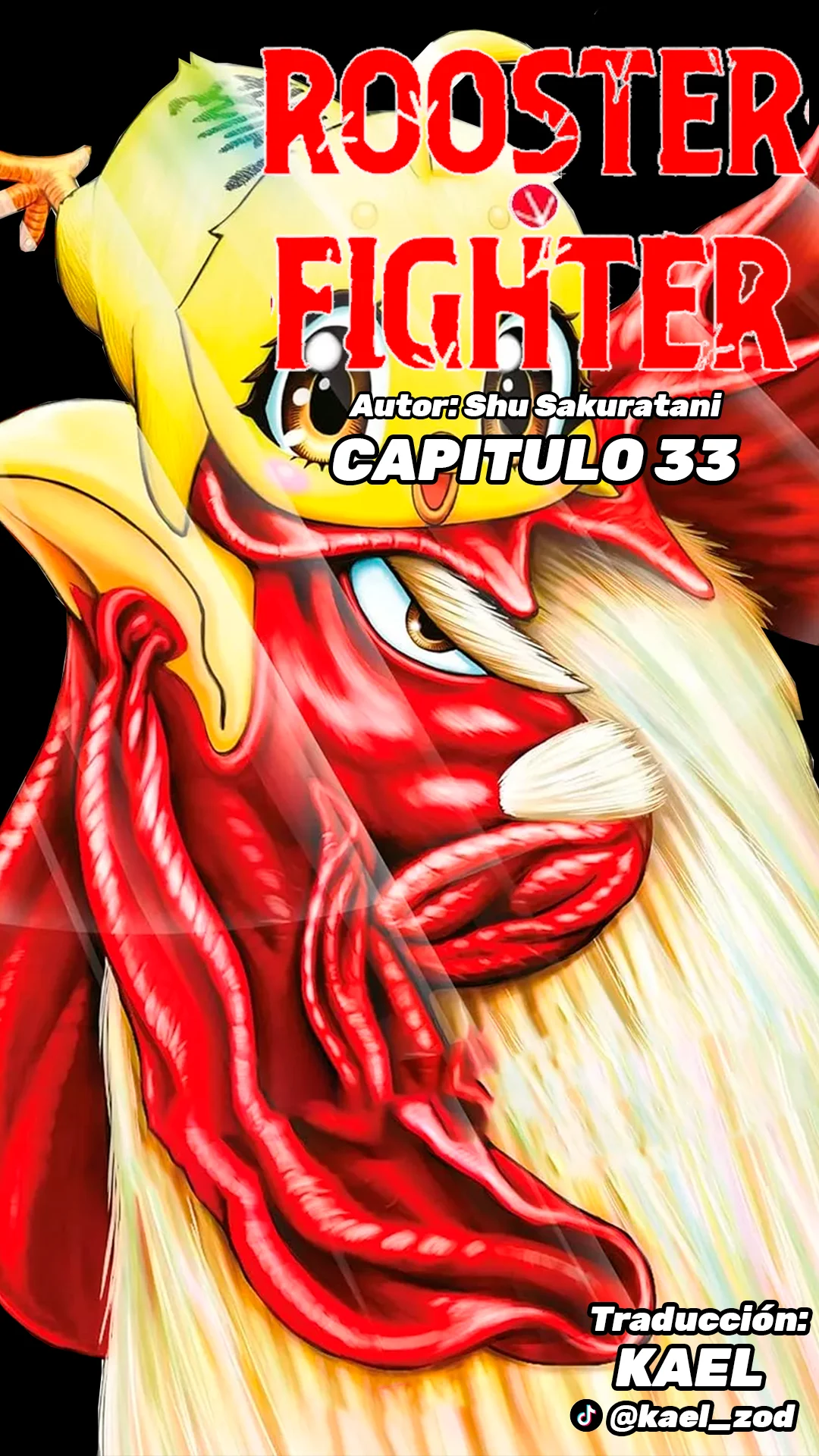 Niwatori Fighter Capítulo 33 - Page 2