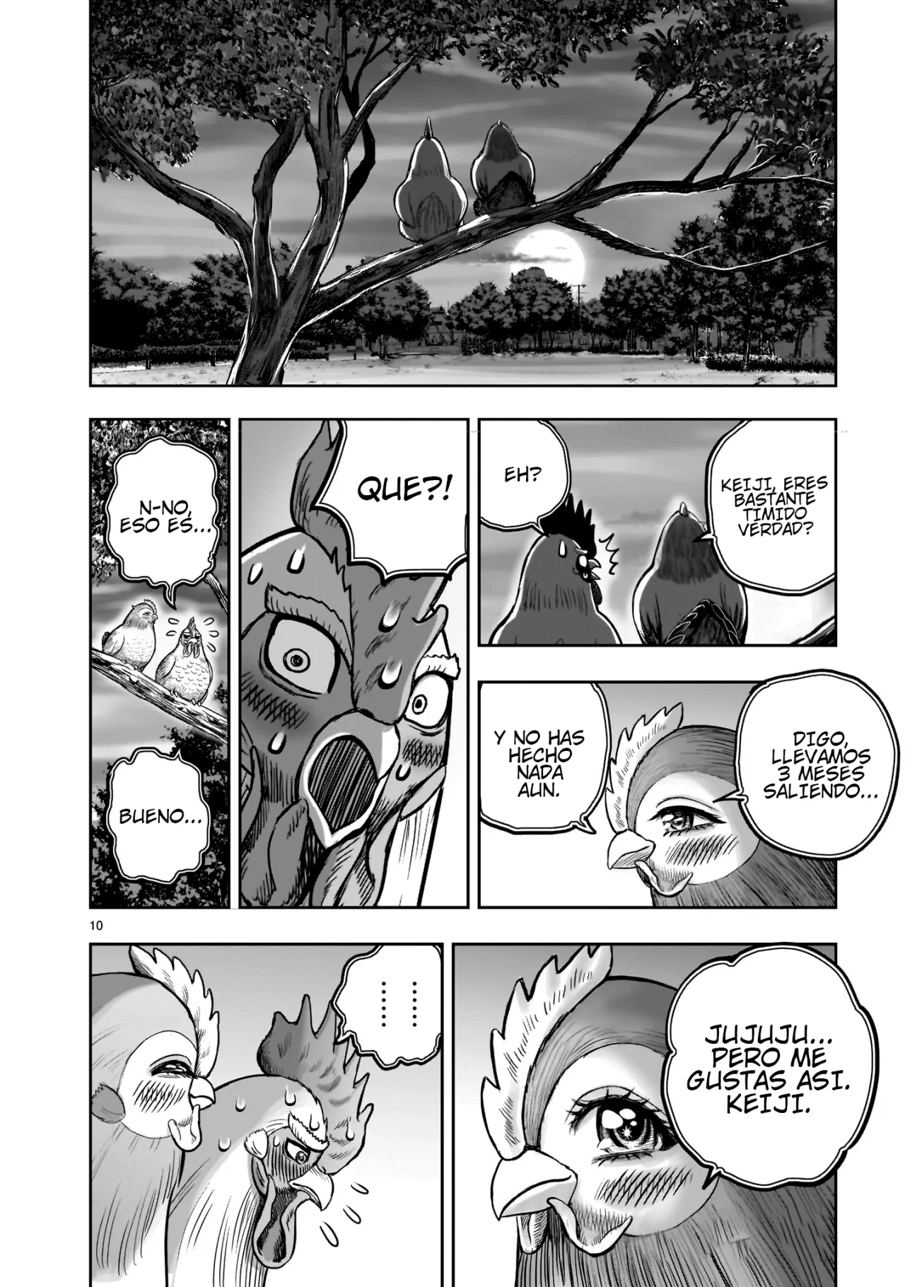 Niwatori Fighter Capítulo 36.5 - Page 14