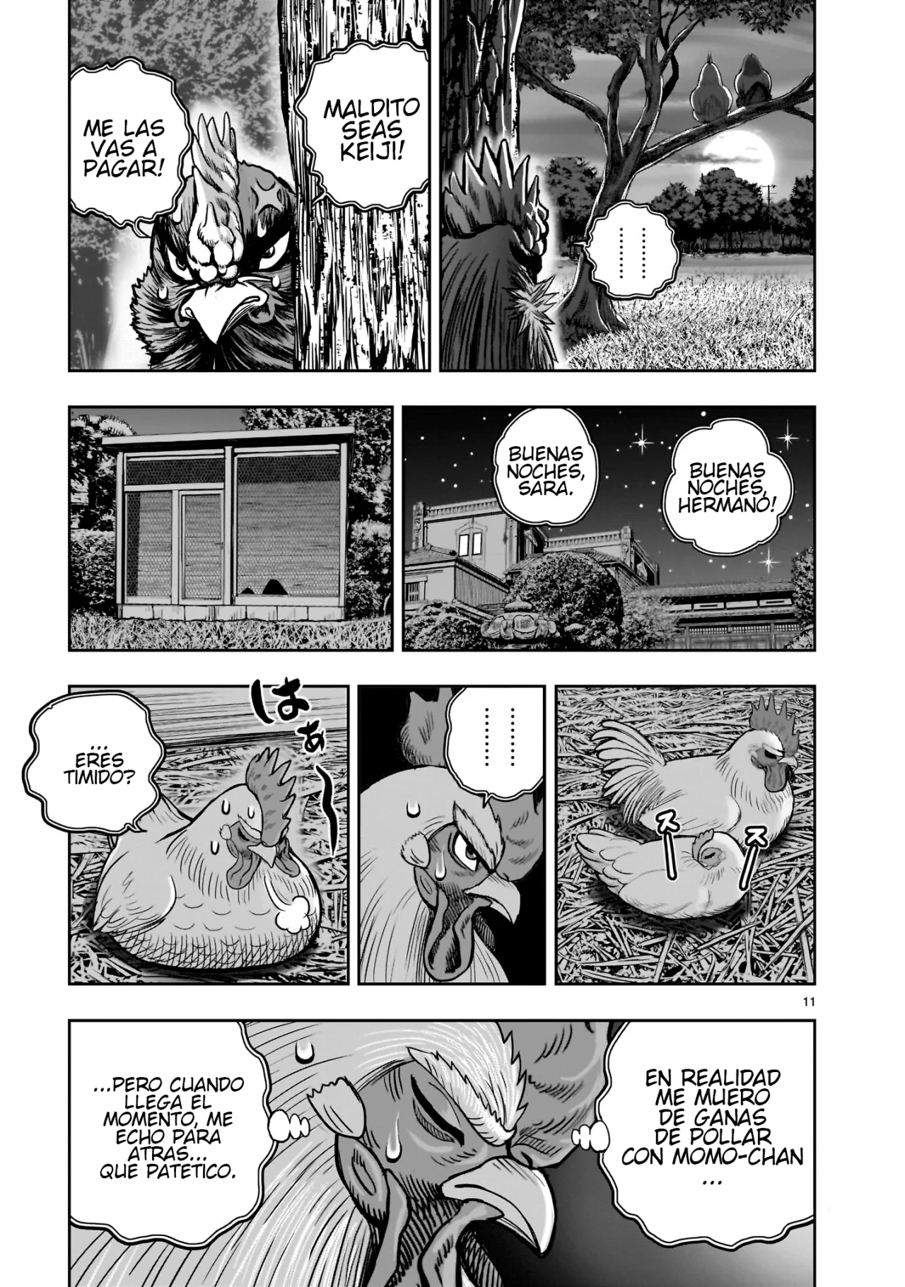 Niwatori Fighter Capítulo 36.5 - Page 15