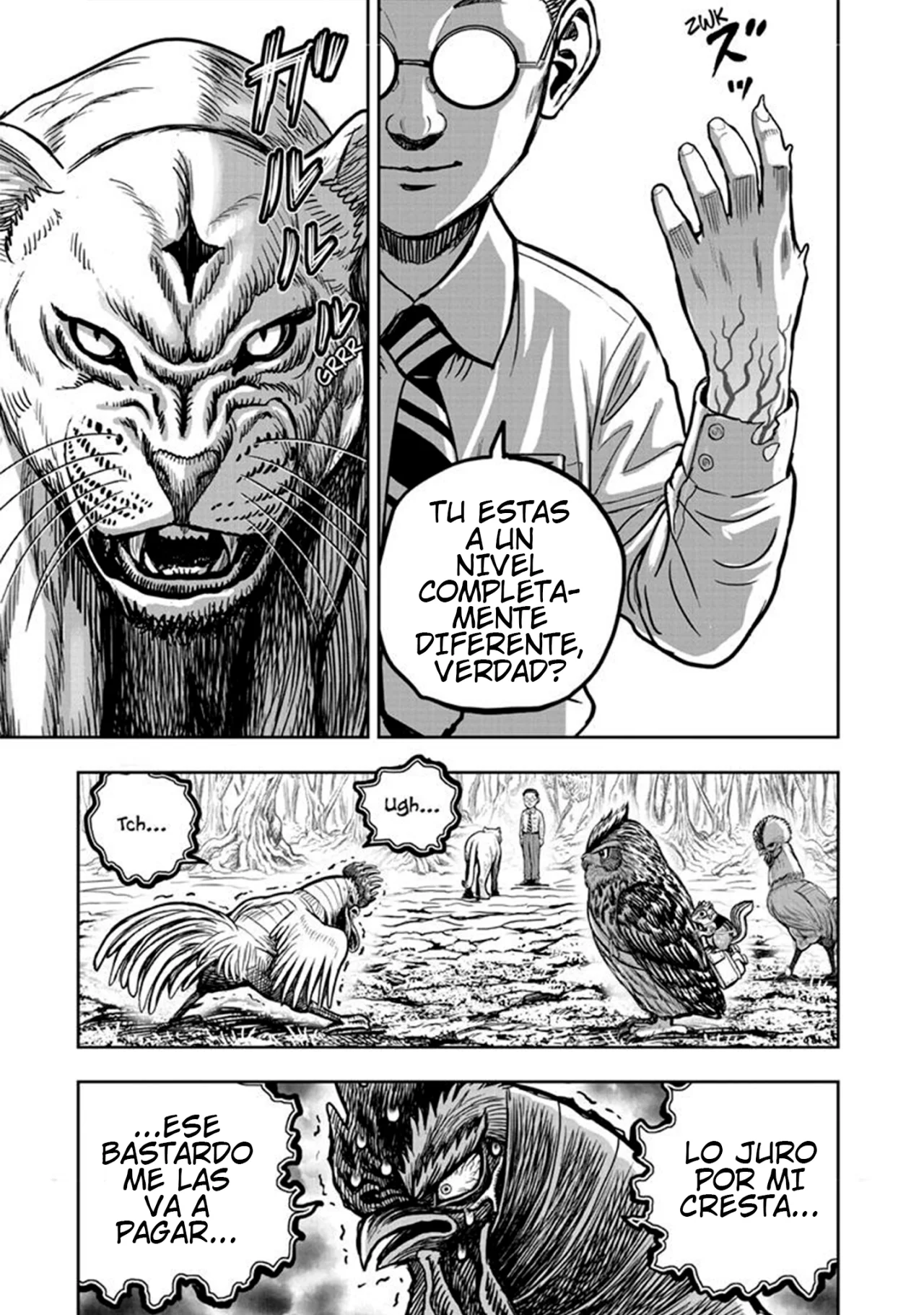 Niwatori Fighter Capítulo 39 - Page 45
