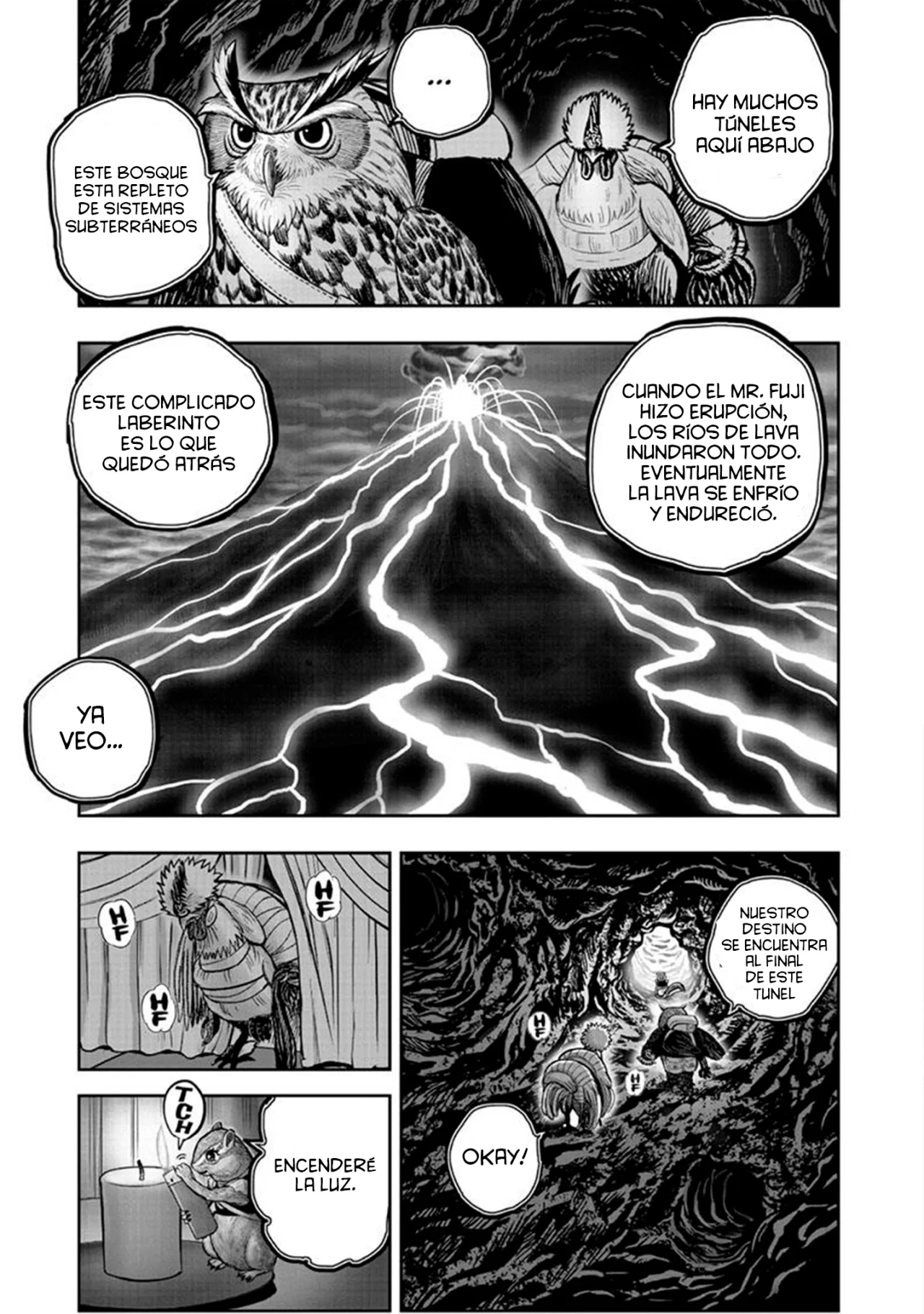 Niwatori Fighter Capítulo 41 - Page 12