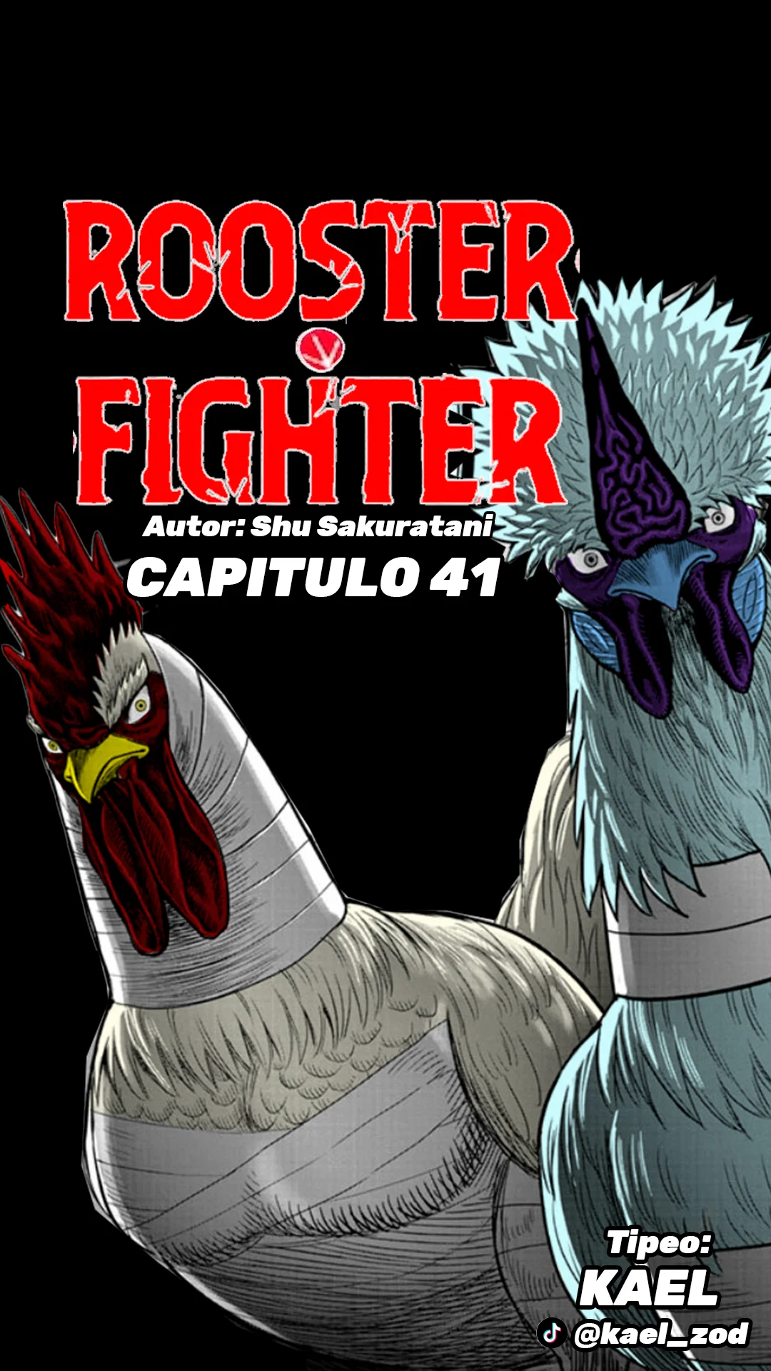 Niwatori Fighter Capítulo 41 - Page 2