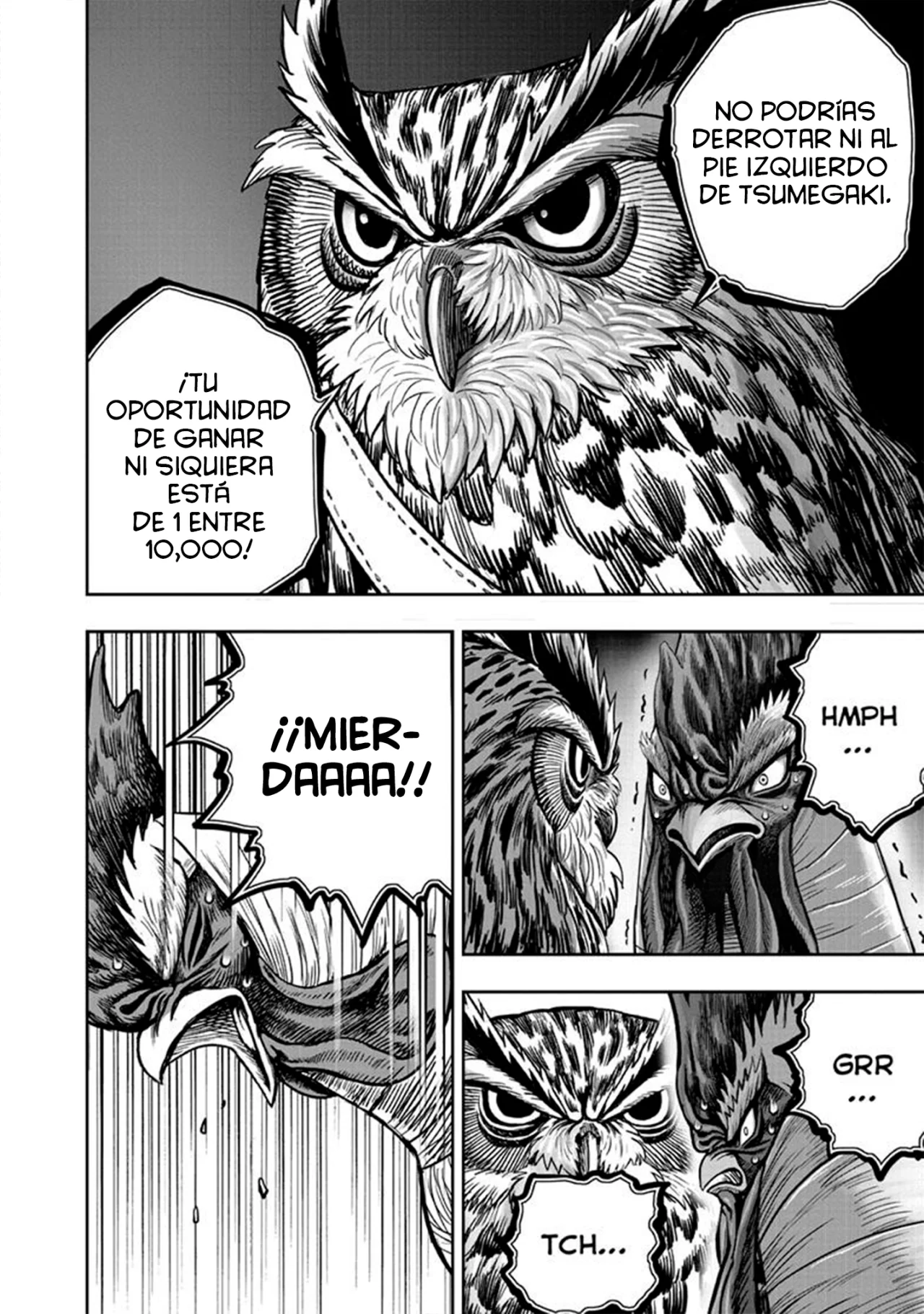 Niwatori Fighter Capítulo 41 - Page 25