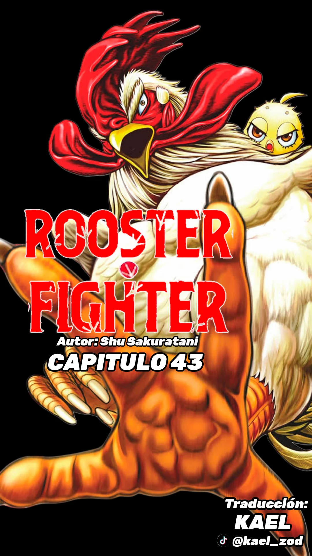Niwatori Fighter Capítulo 43 - Page 2