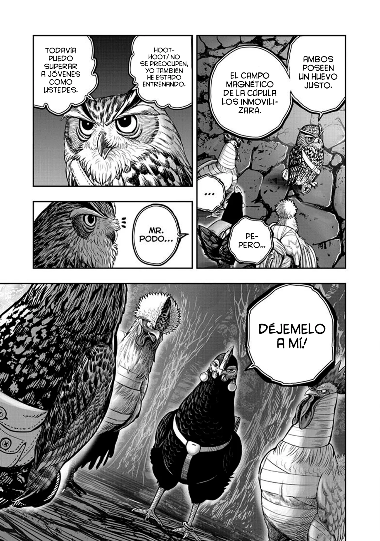 Niwatori Fighter Capítulo 44 - Page 13