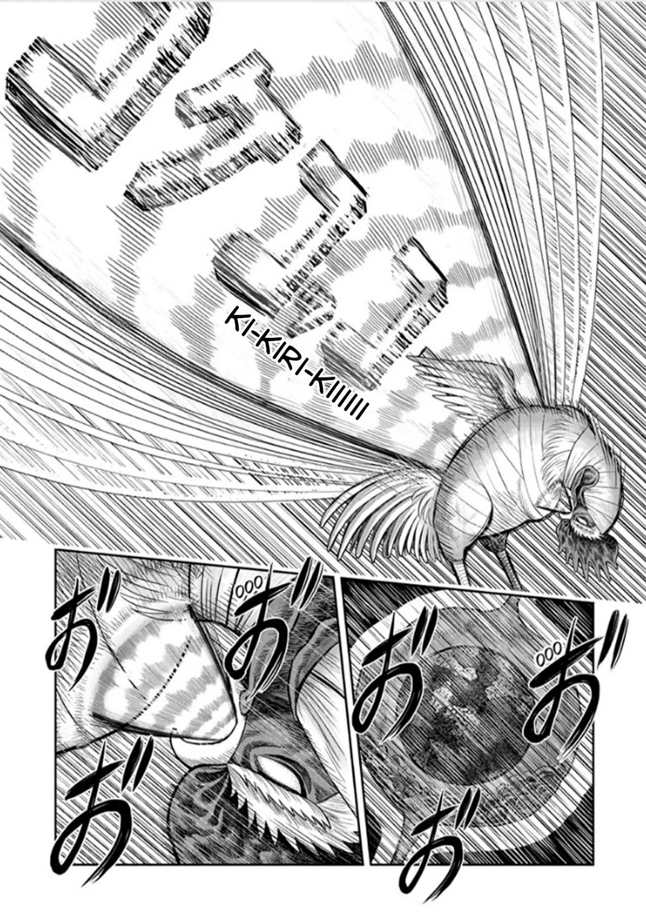 Niwatori Fighter Capítulo 49 - Page 11