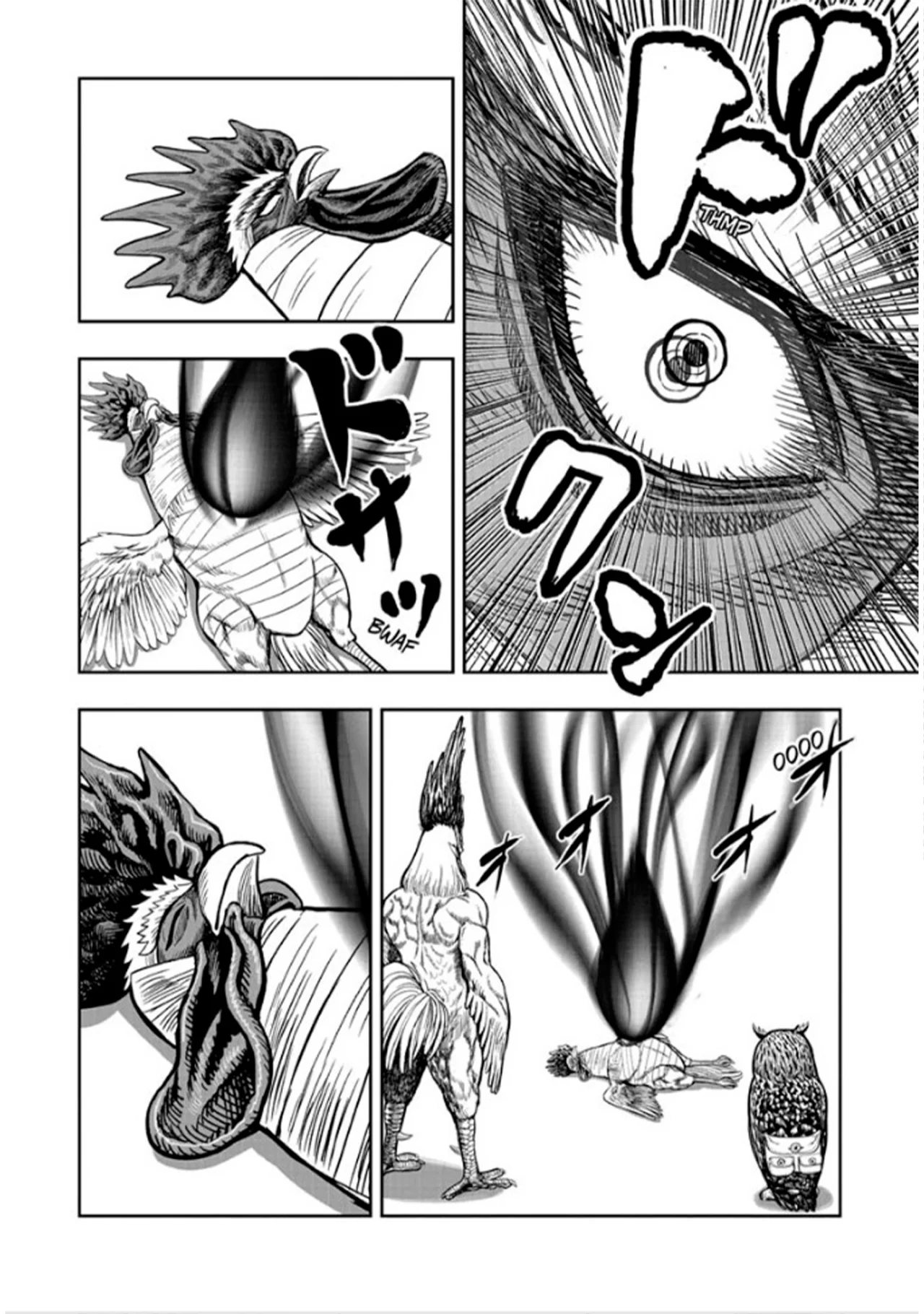 Niwatori Fighter Capítulo 49 - Page 13