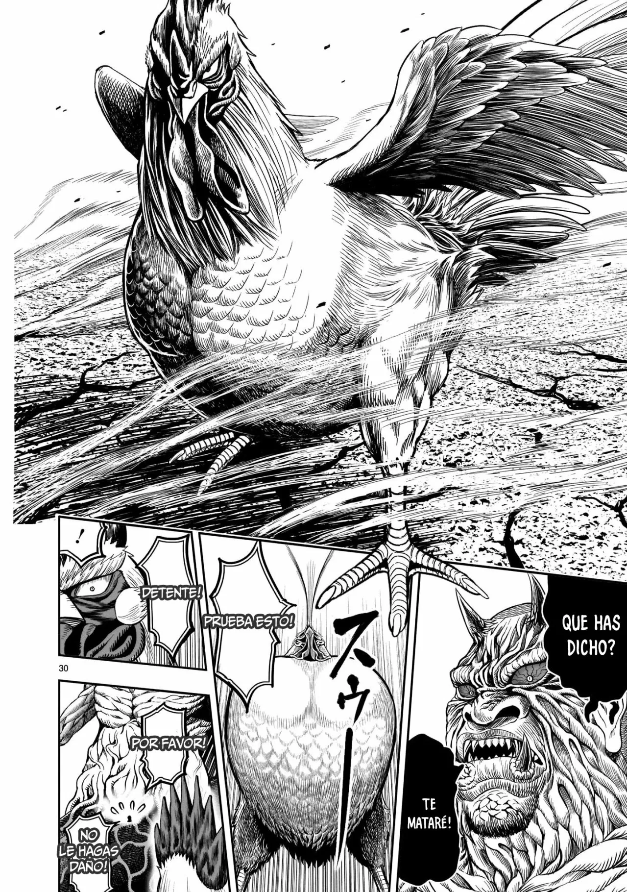 Niwatori Fighter Capítulo 5 - Page 30