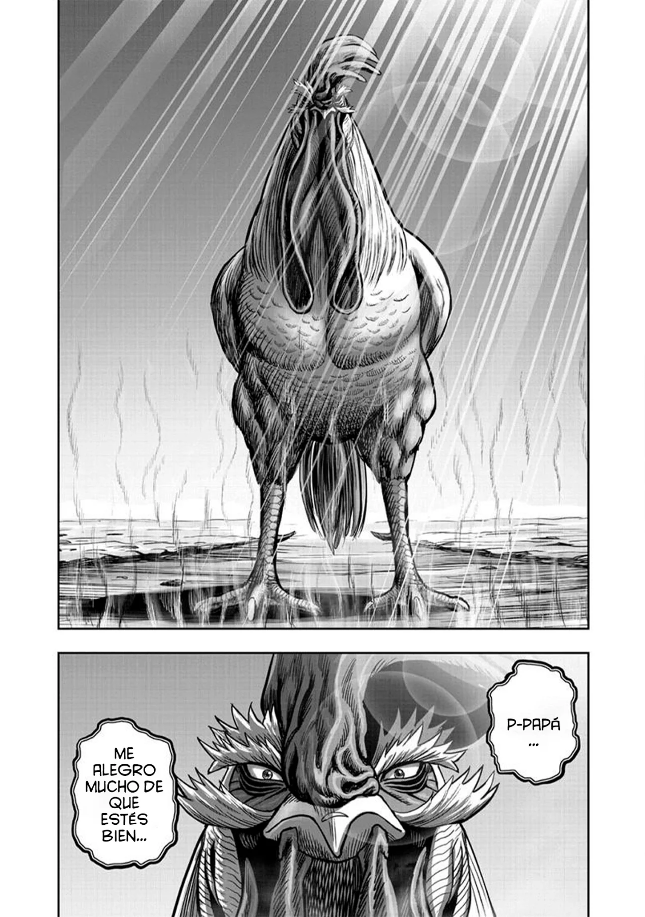 Niwatori Fighter Capítulo 50 - Page 36