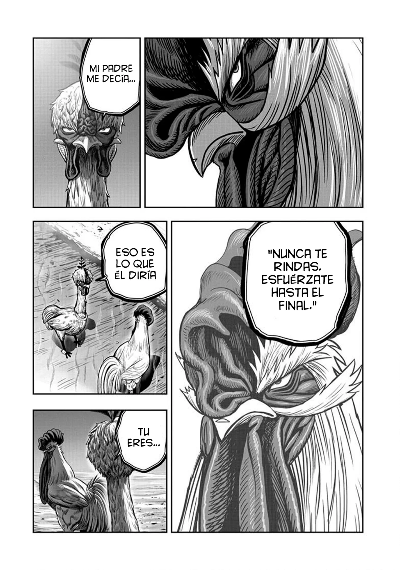 Niwatori Fighter Capítulo 50 - Page 39