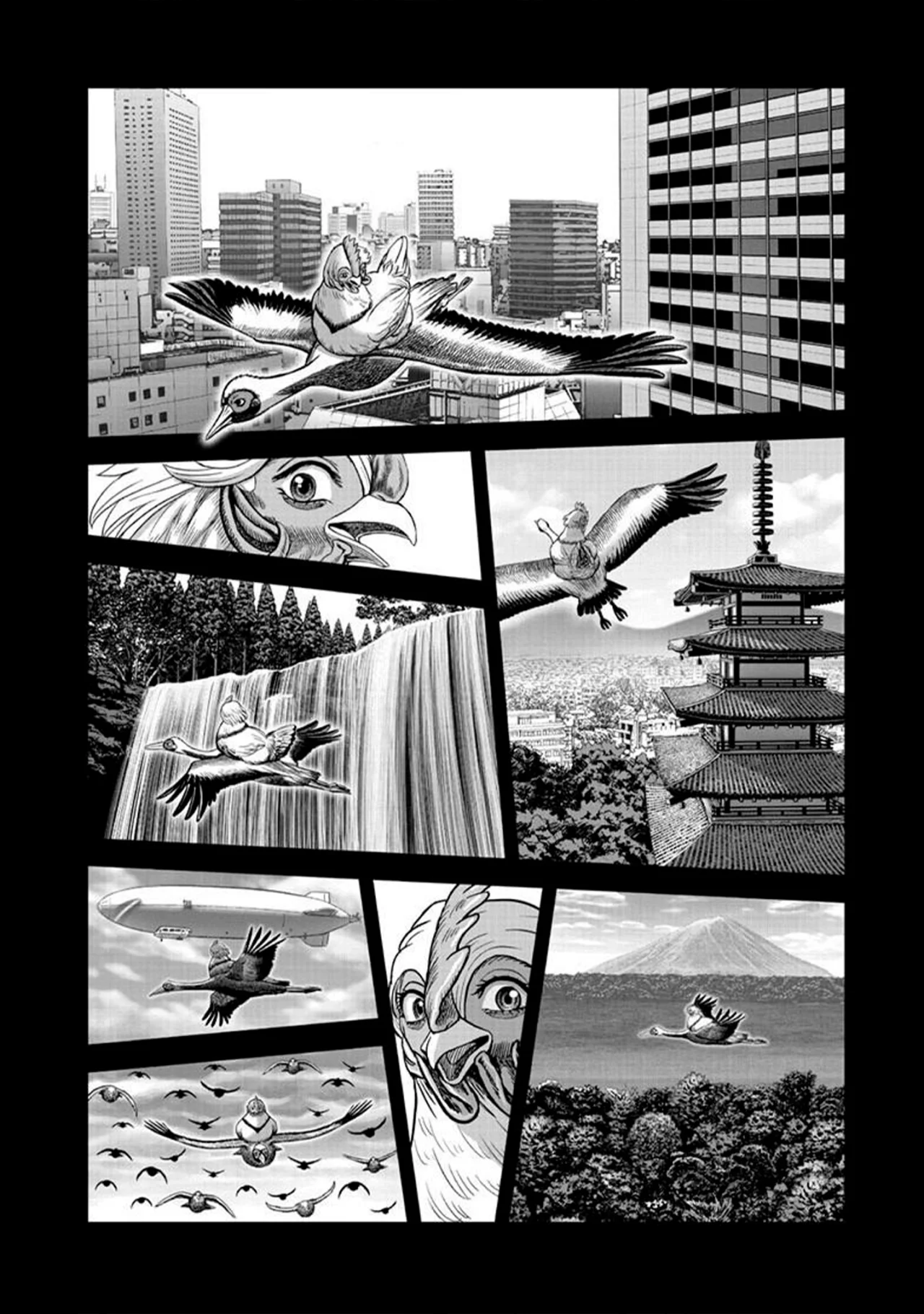 Niwatori Fighter Capítulo 51 - Page 42