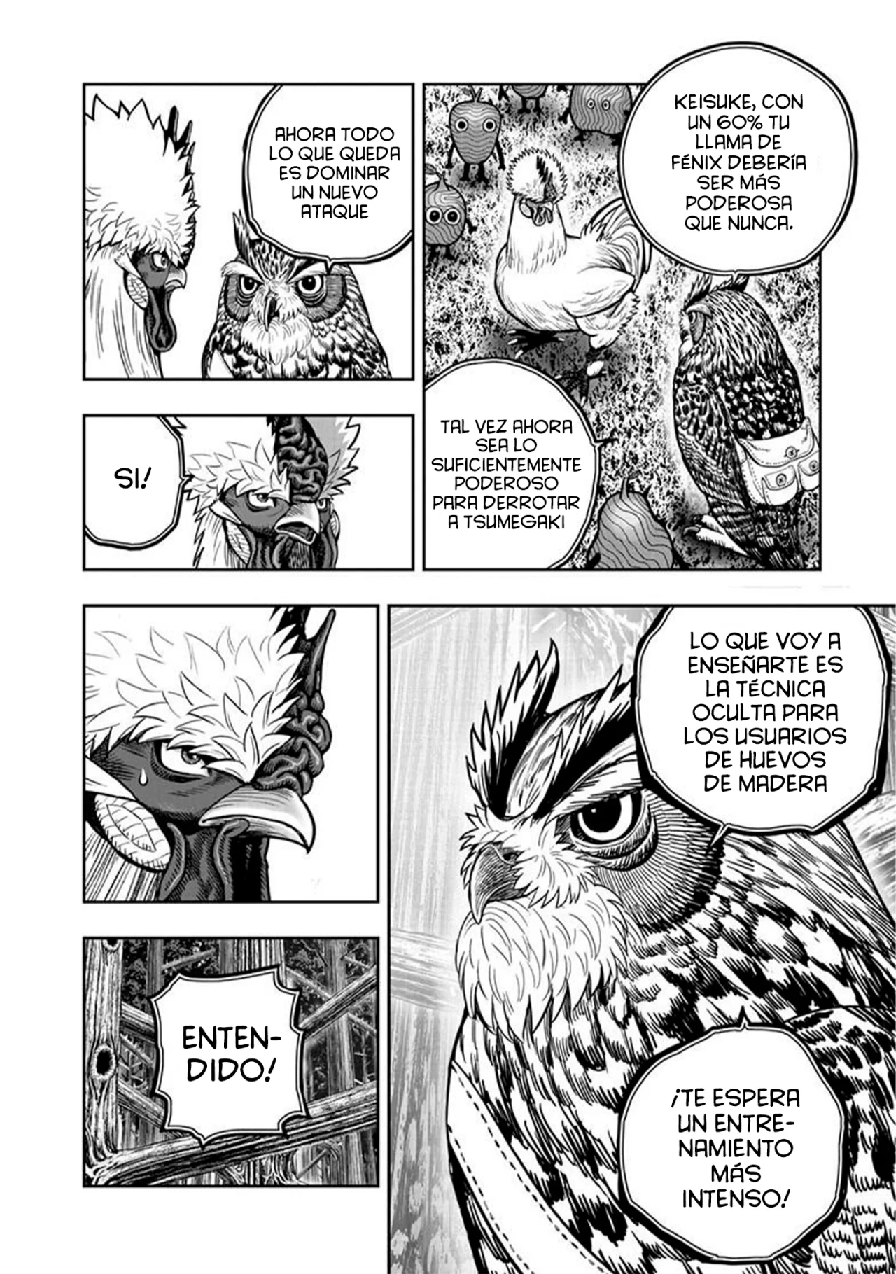 Niwatori Fighter Capítulo 51 - Page 6
