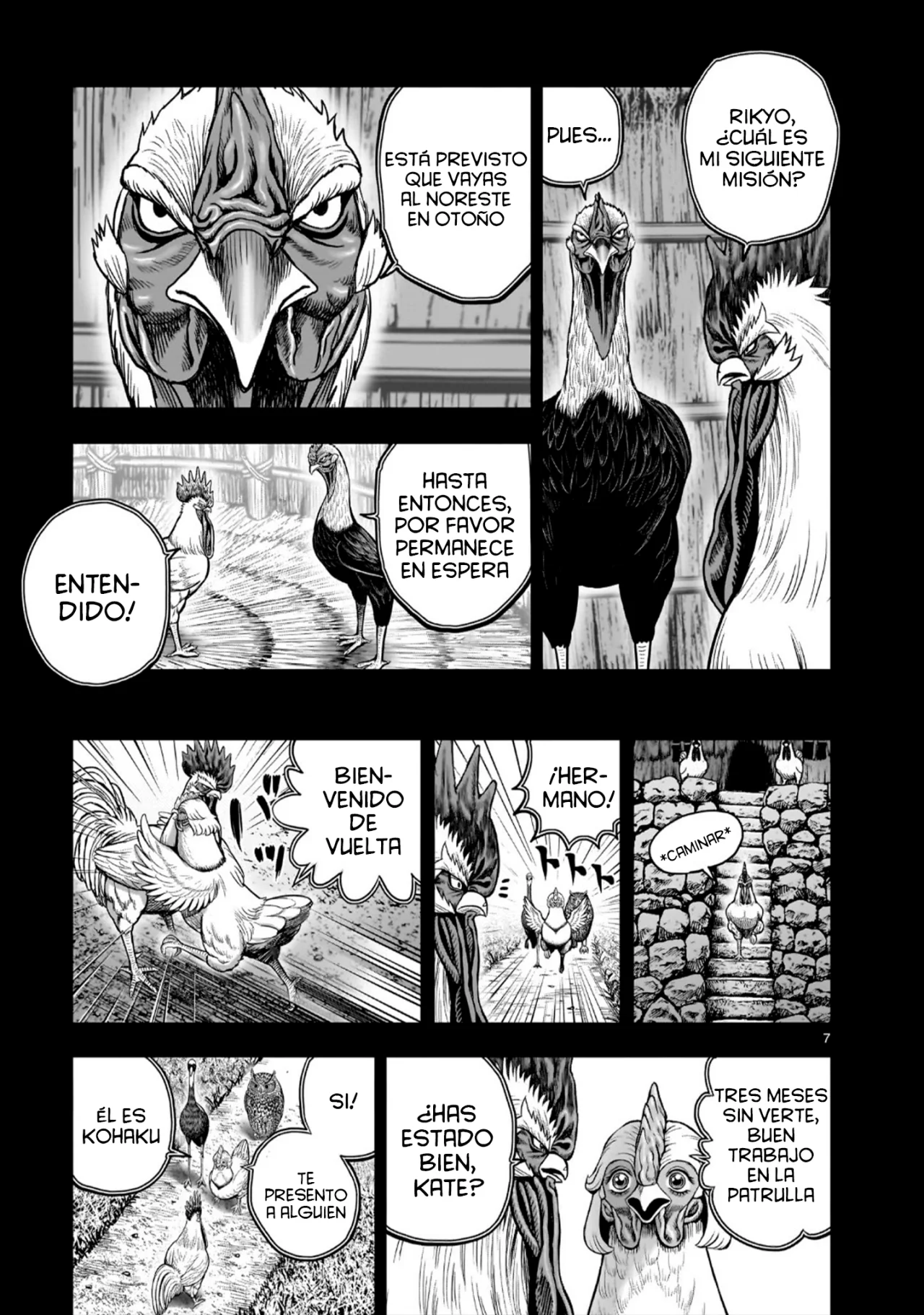 Niwatori Fighter Capítulo 52 - Page 11