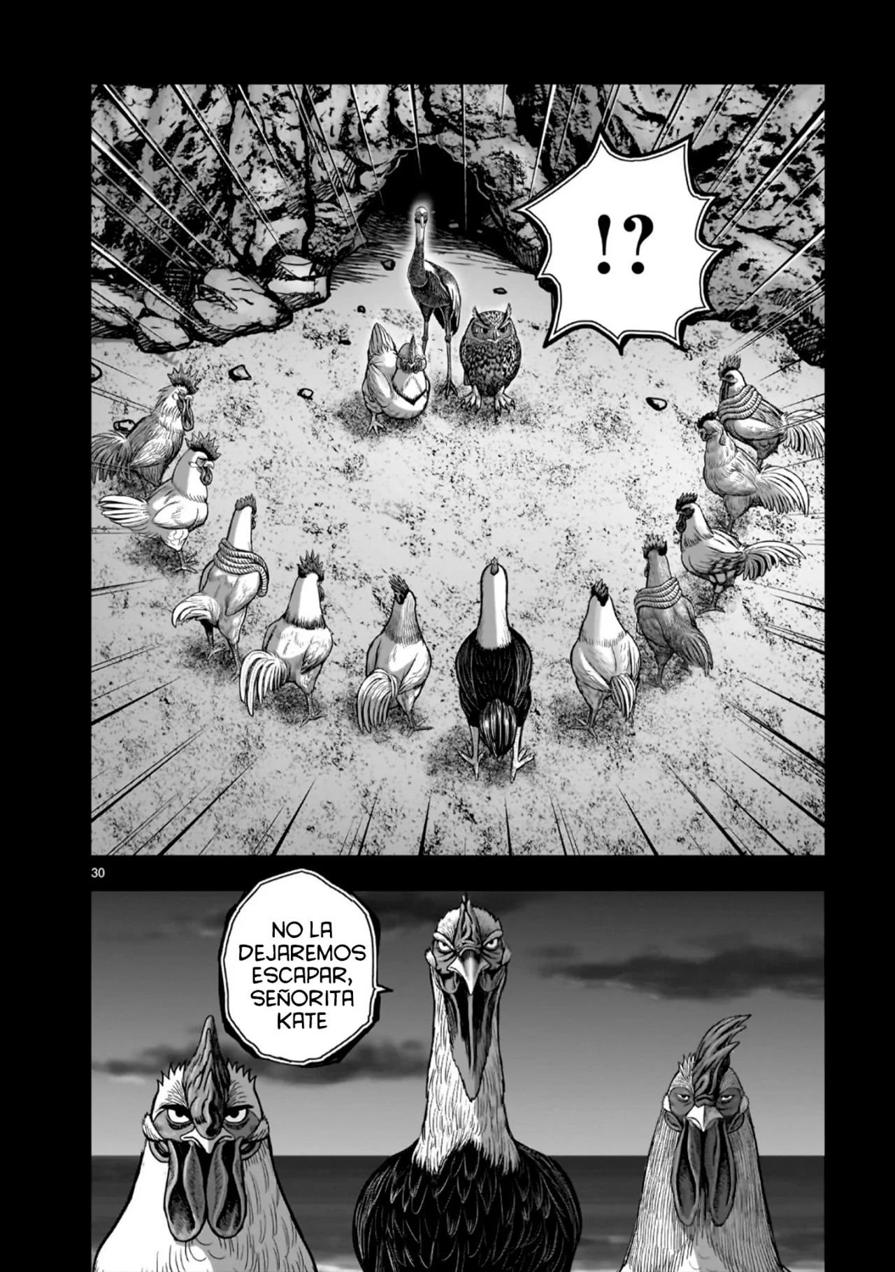 Niwatori Fighter Capítulo 52 - Page 34