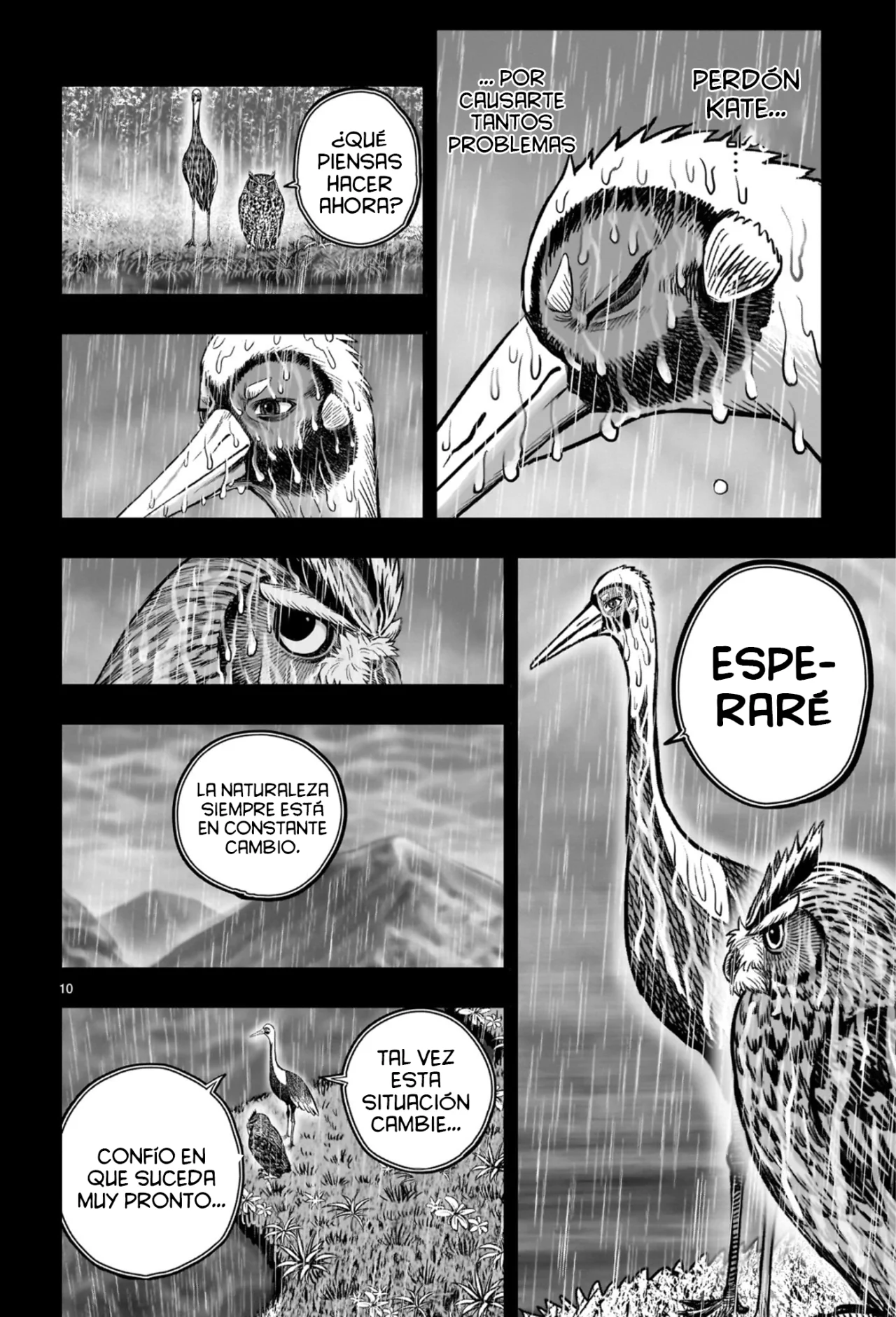 Niwatori Fighter Capítulo 53 - Page 15